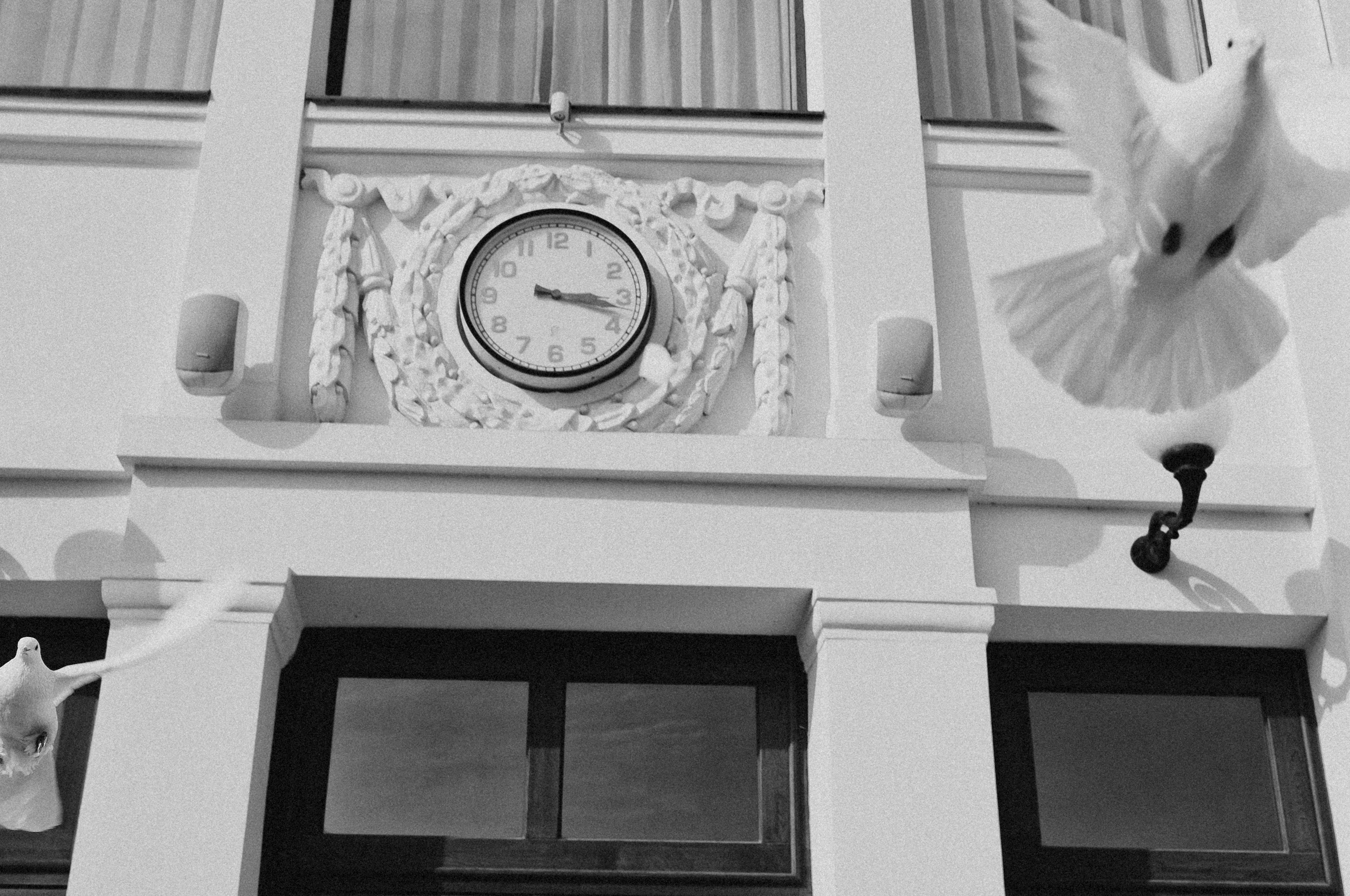 Свадьбы. Фотограф Тверь