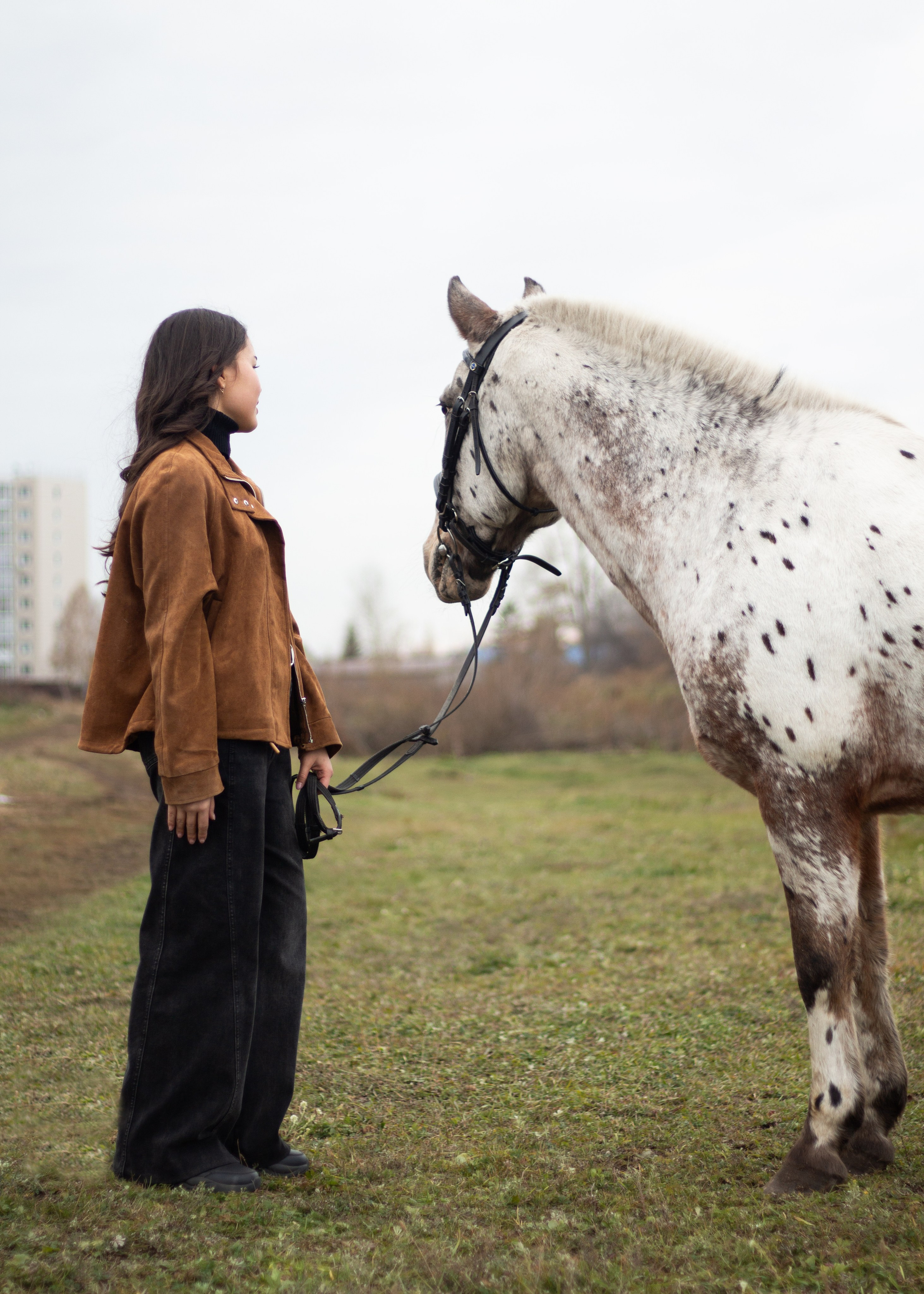 София, Соперник и Чубарик. Фотограф в Иркутске, Харитонова Елизавета