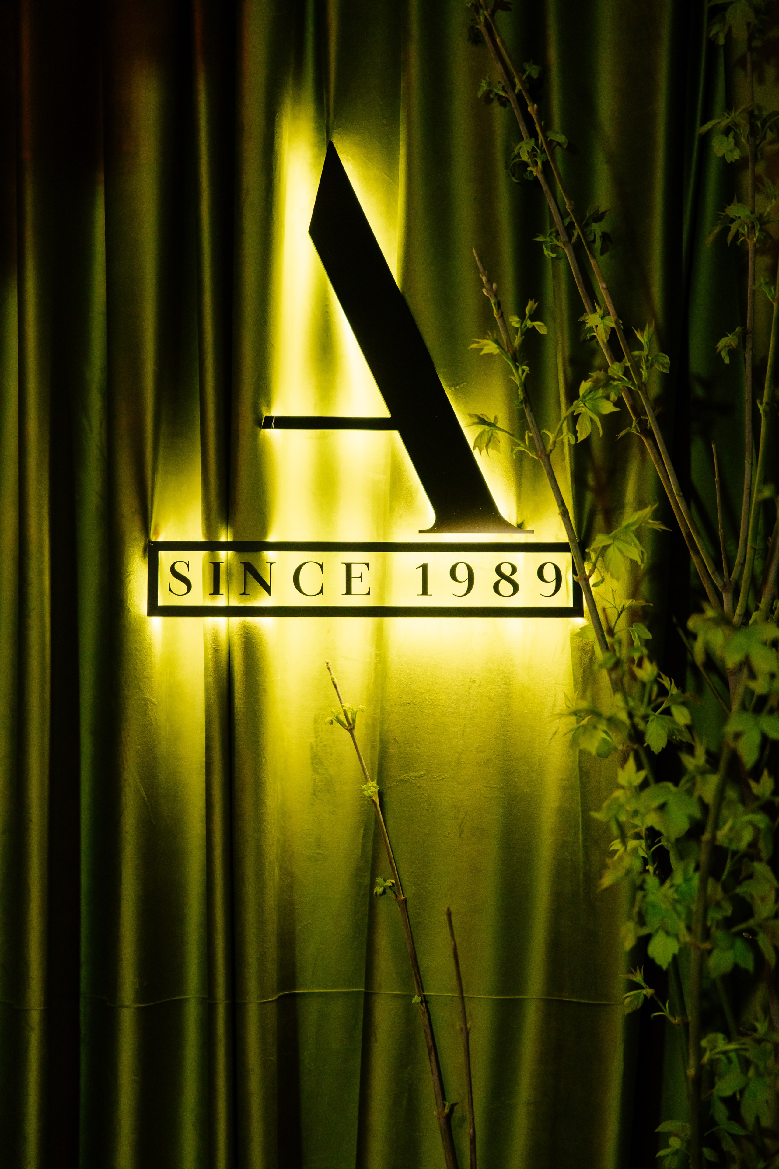 Юбилей. Свадебный фотограф Владислав Адышкин