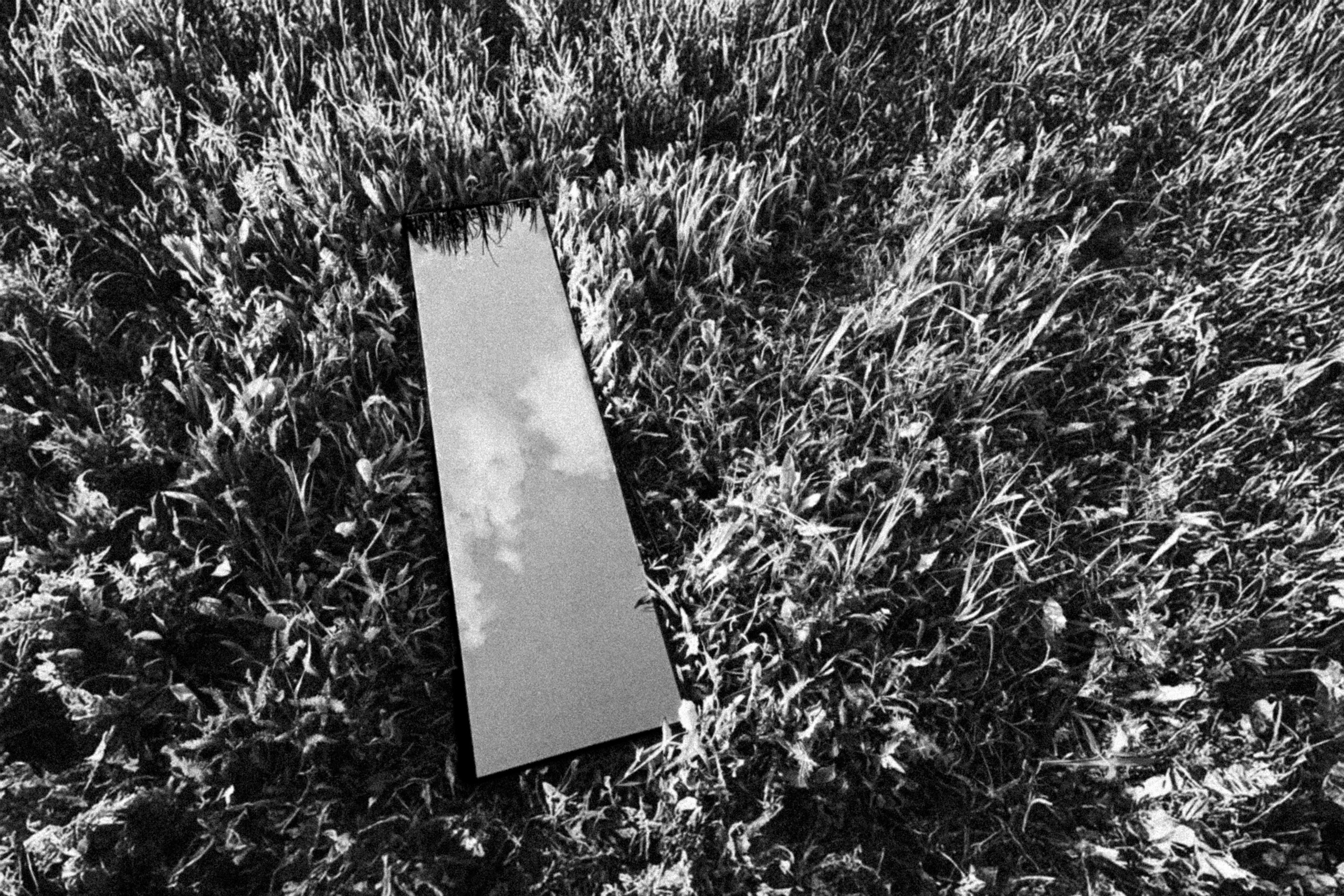 Зеркало в траве