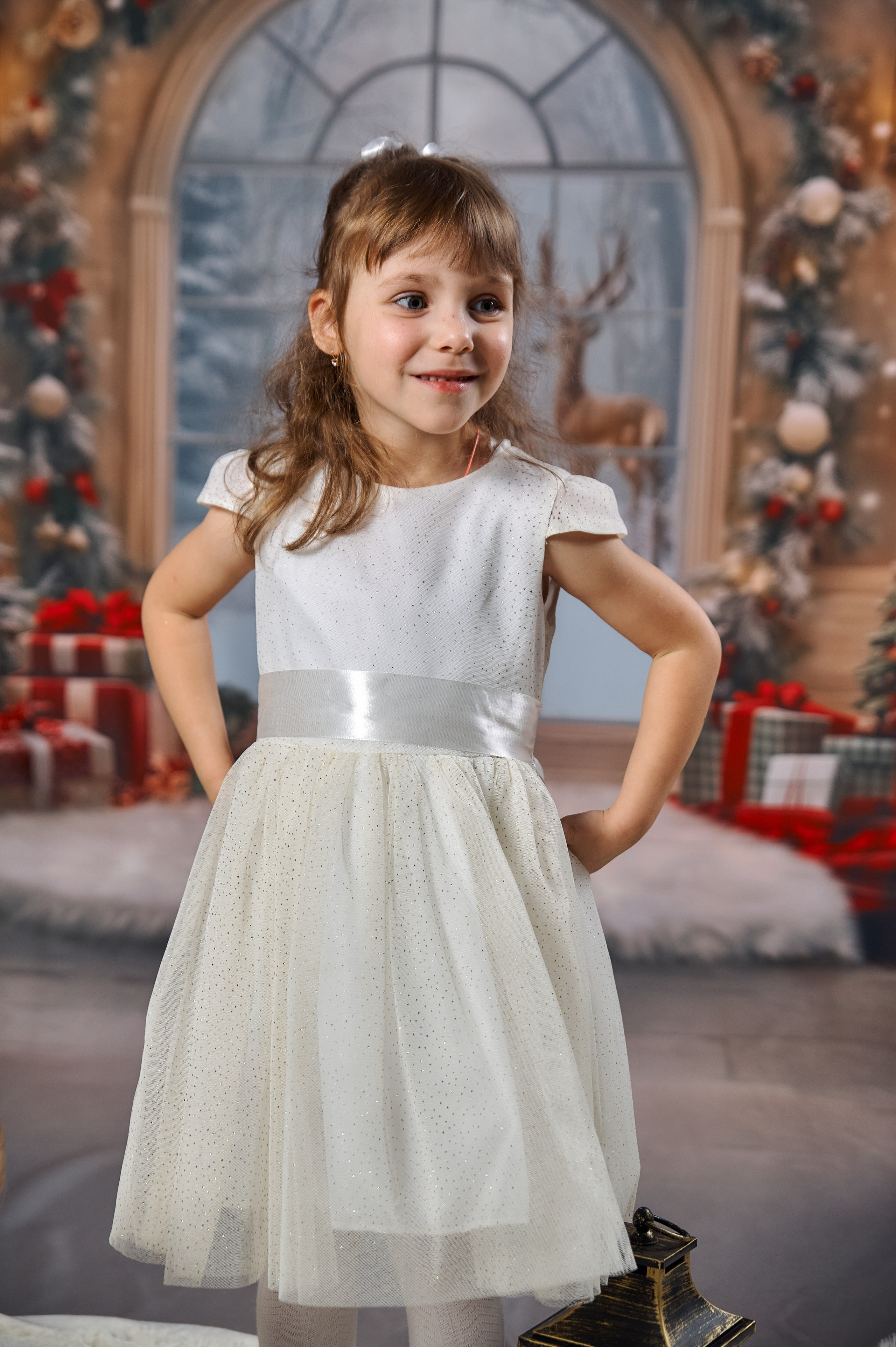 Новогодние фотосессии в студии