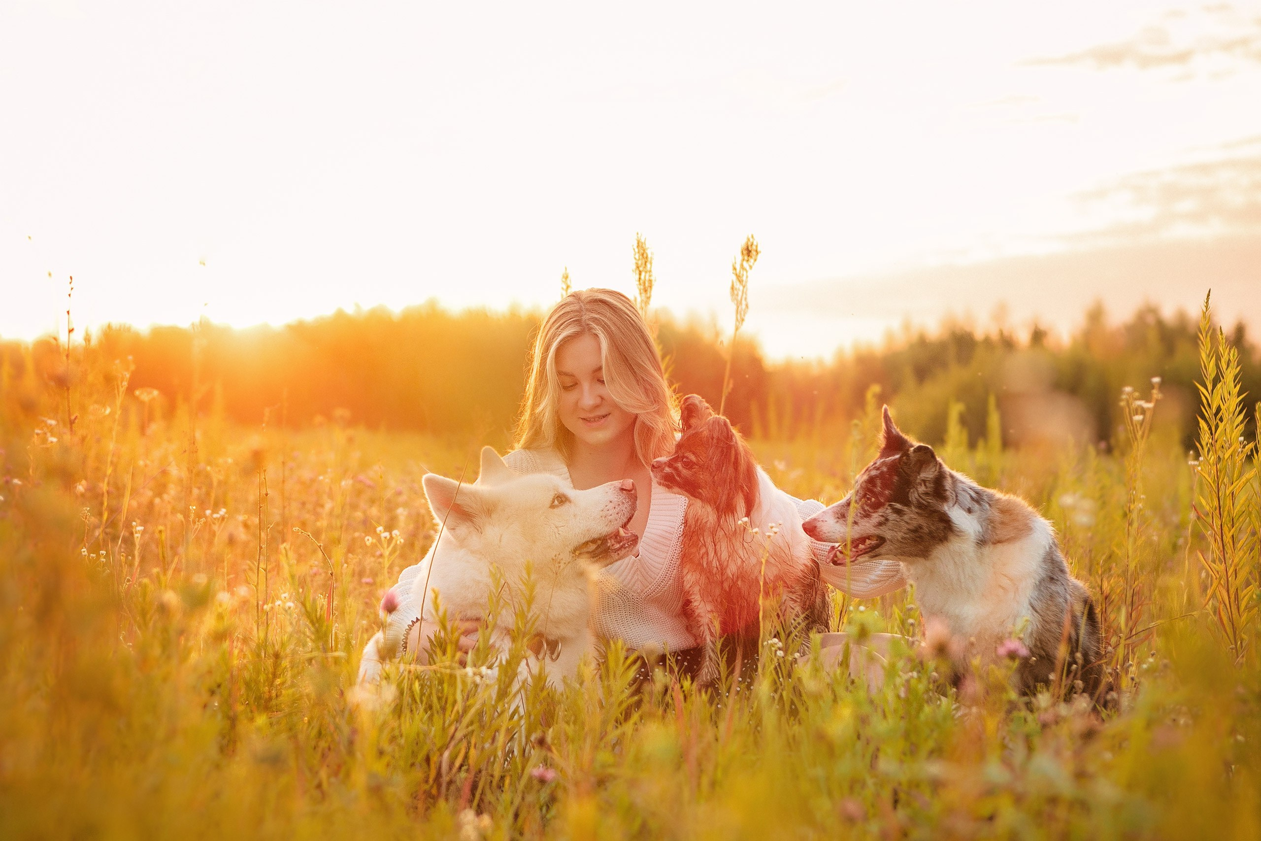 Таня и команда на рассвете. Фотограф анималист Кузнецова Анна Нижний Новгород