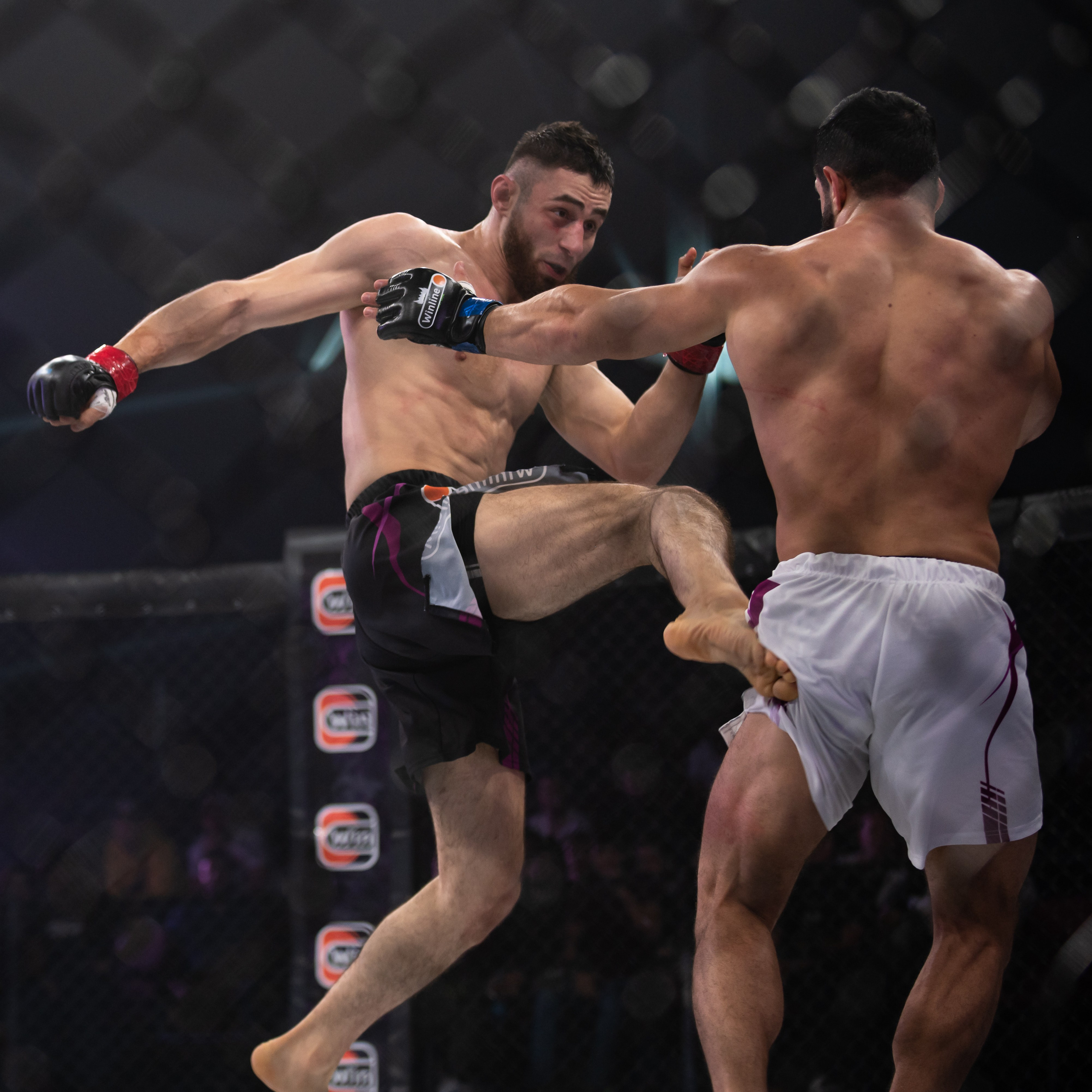 Бои. Репортажный фотограф в Красной Поляне и Сочи Павлюченко Екатерина