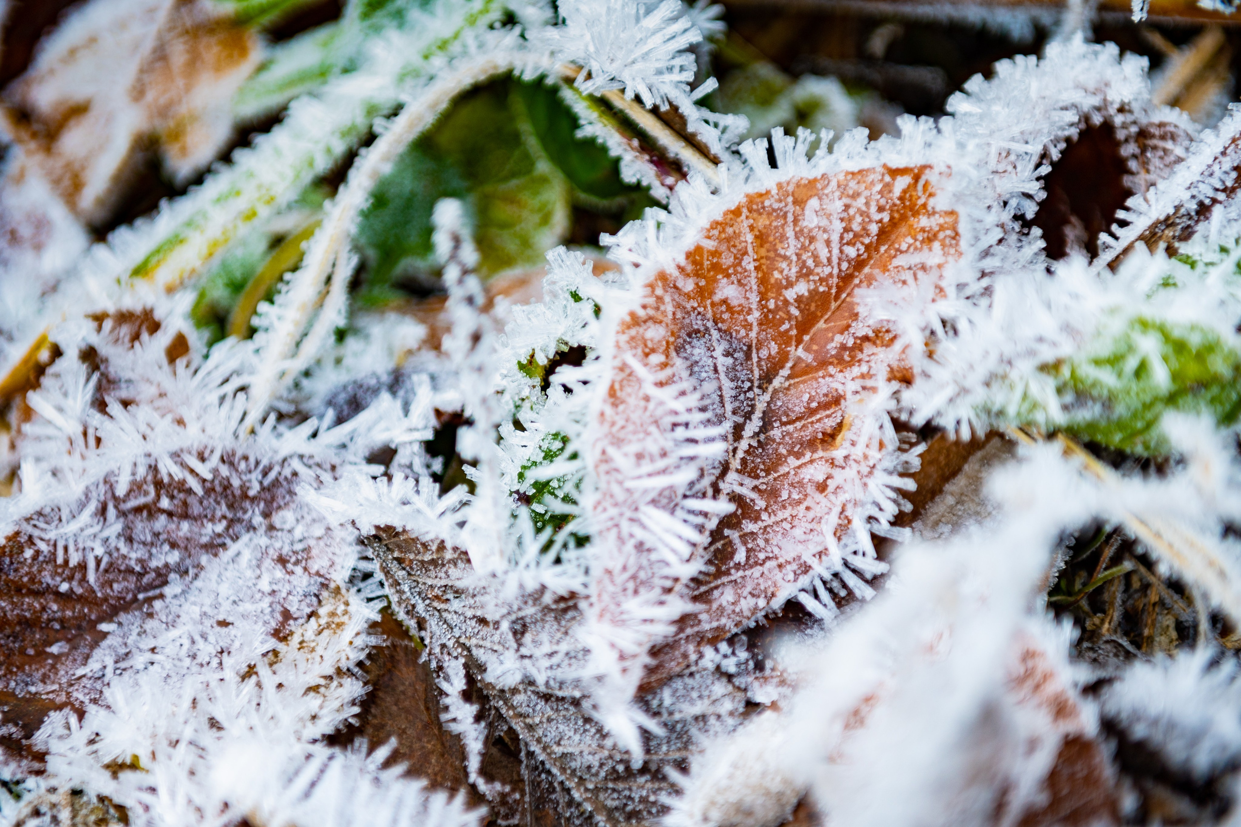 Mice мероприятие — прогулка на водопад Поликаря на курорте Красная Поляна. Репортажный фотограф в Красной Поляне и Сочи Павлюченко Екатерина