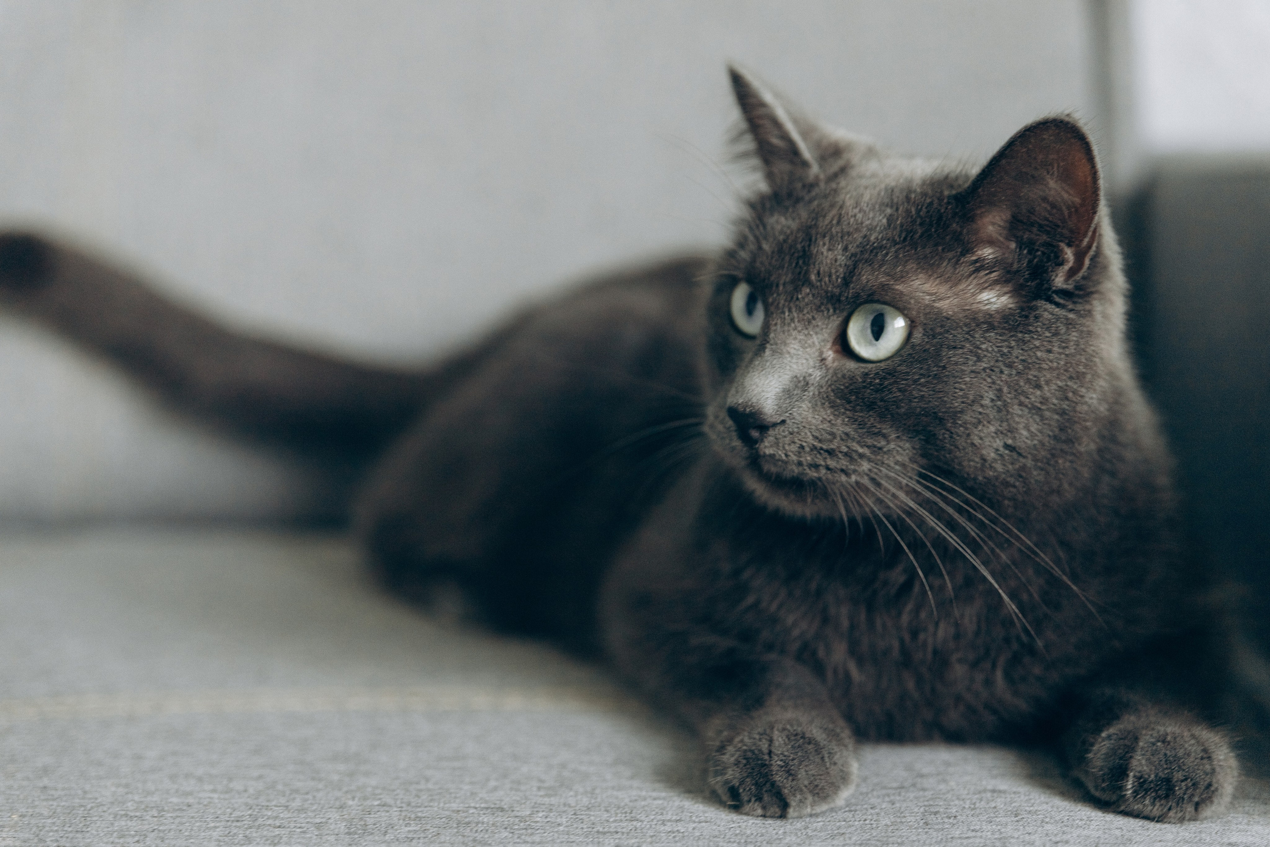 Семья Лены. Фотограф Ногинск Электросталь Наталья Осетрова