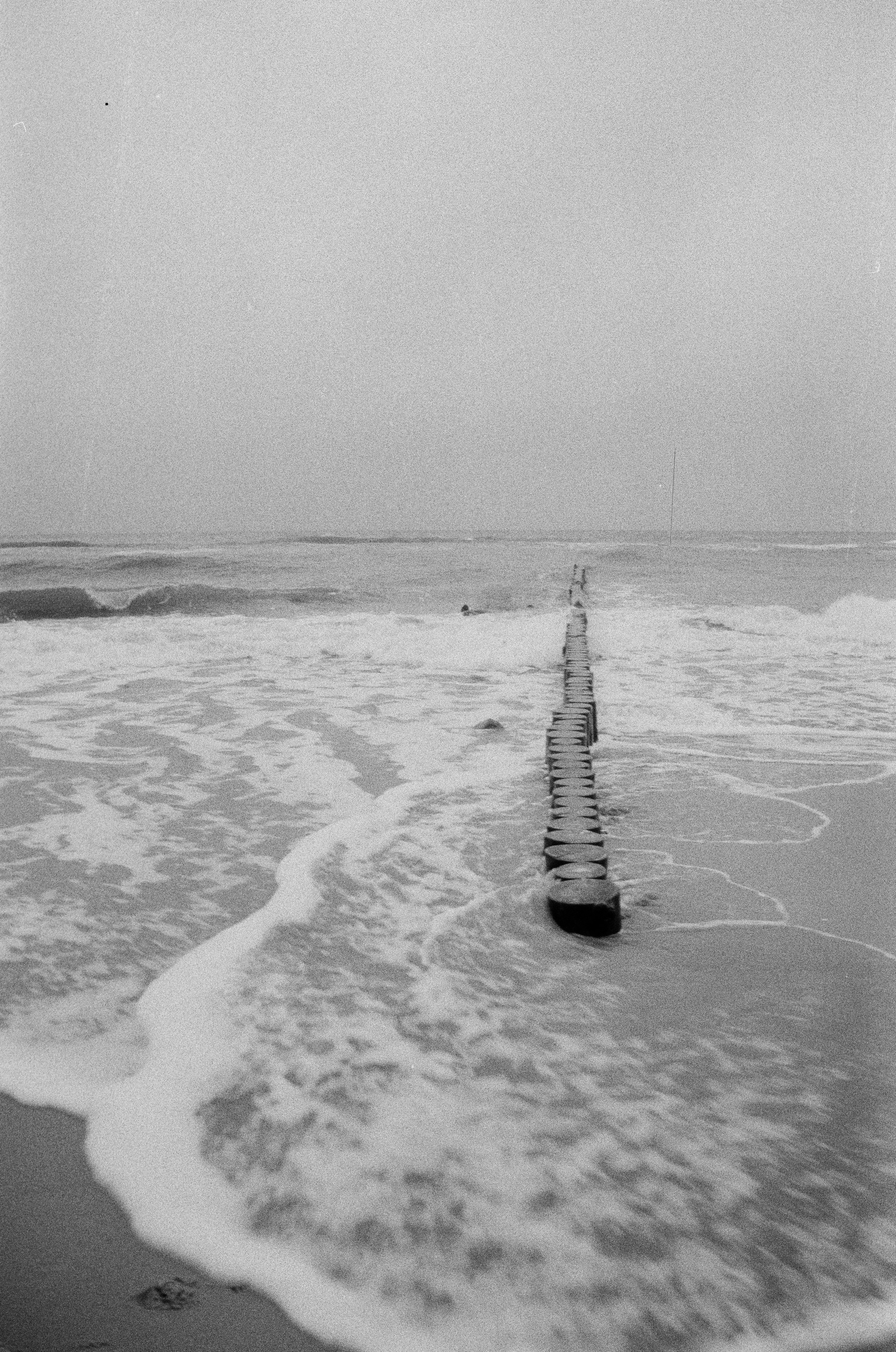 Пленка ЧБ. Фотограф Соня с Земли