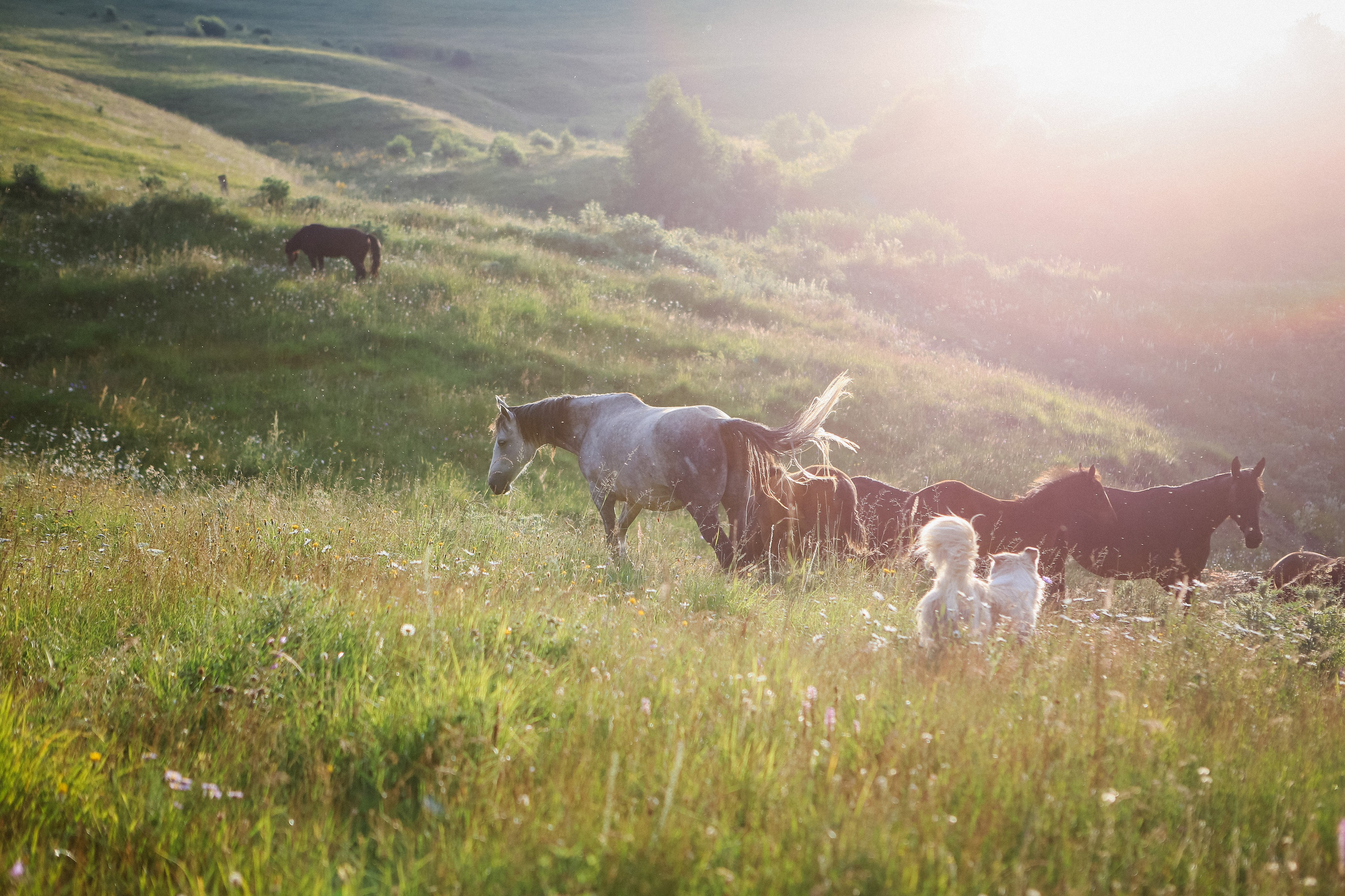 Пресс-тур для Неизвестного Кавказа. Свадебный и портретный фотограф в Пятигорске, КМВ — Власова Юля