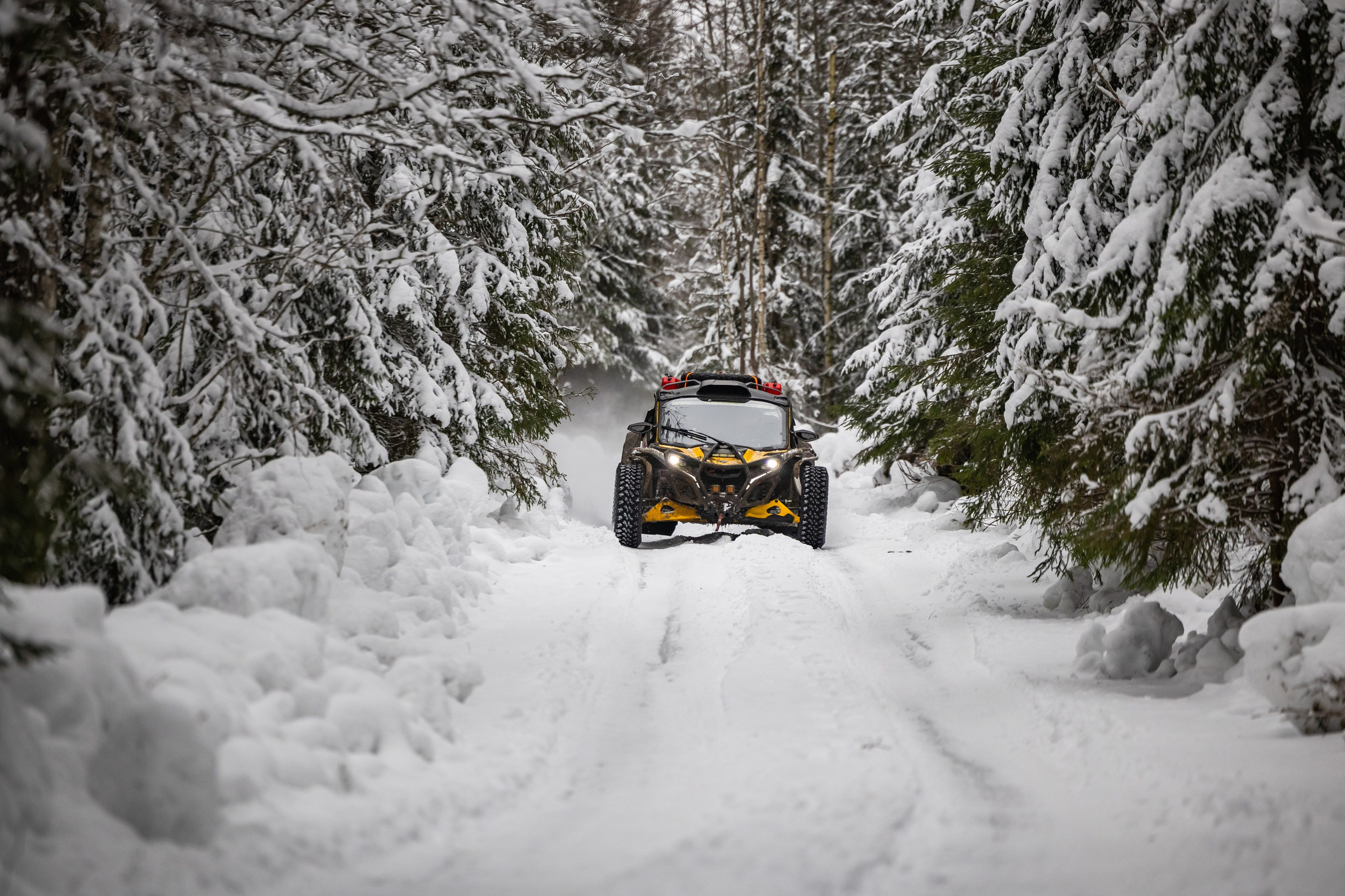 Ралли СеверныйЛес