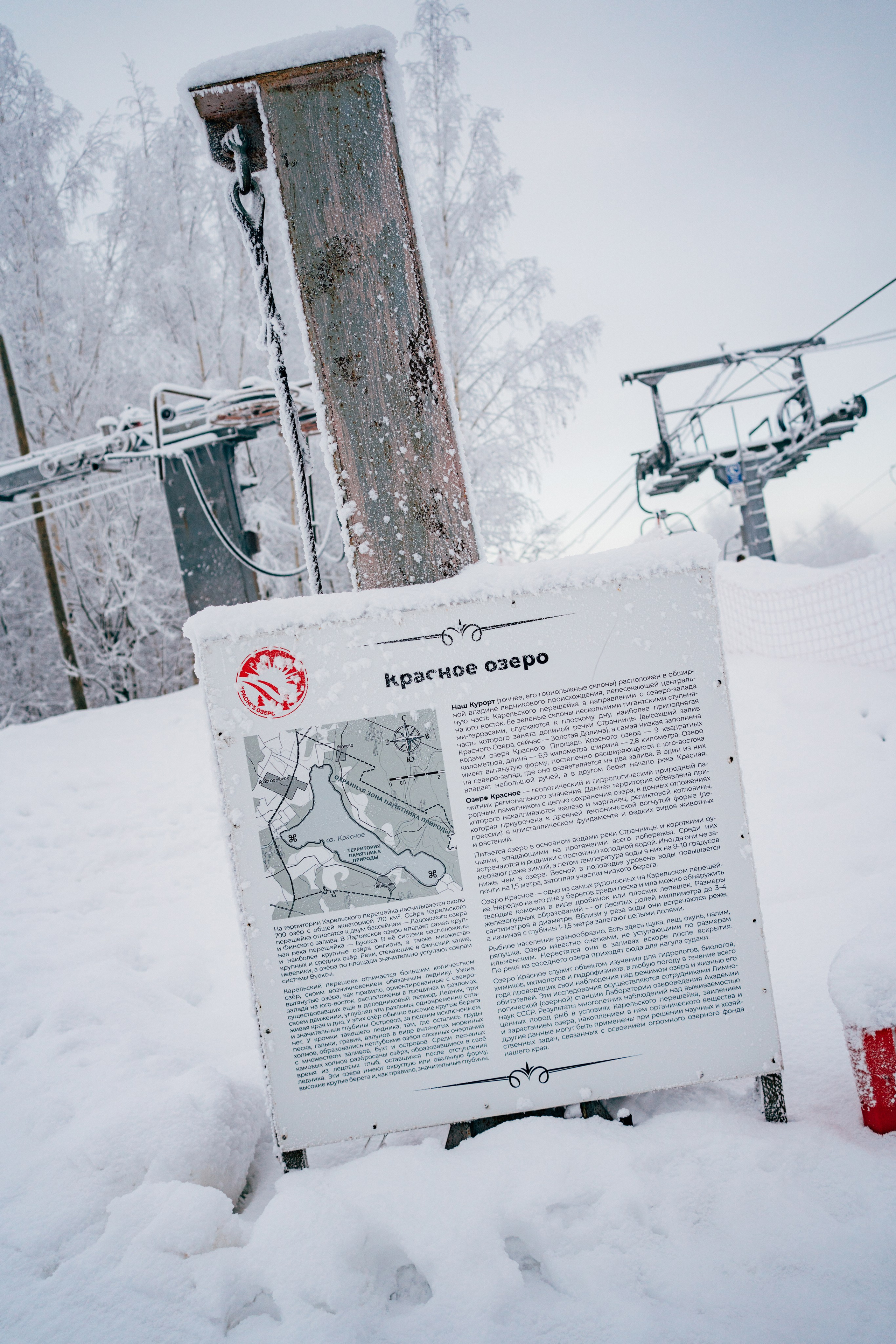 Trans Market зимой. Репортажный и портретный фотограф Алексей Полячек