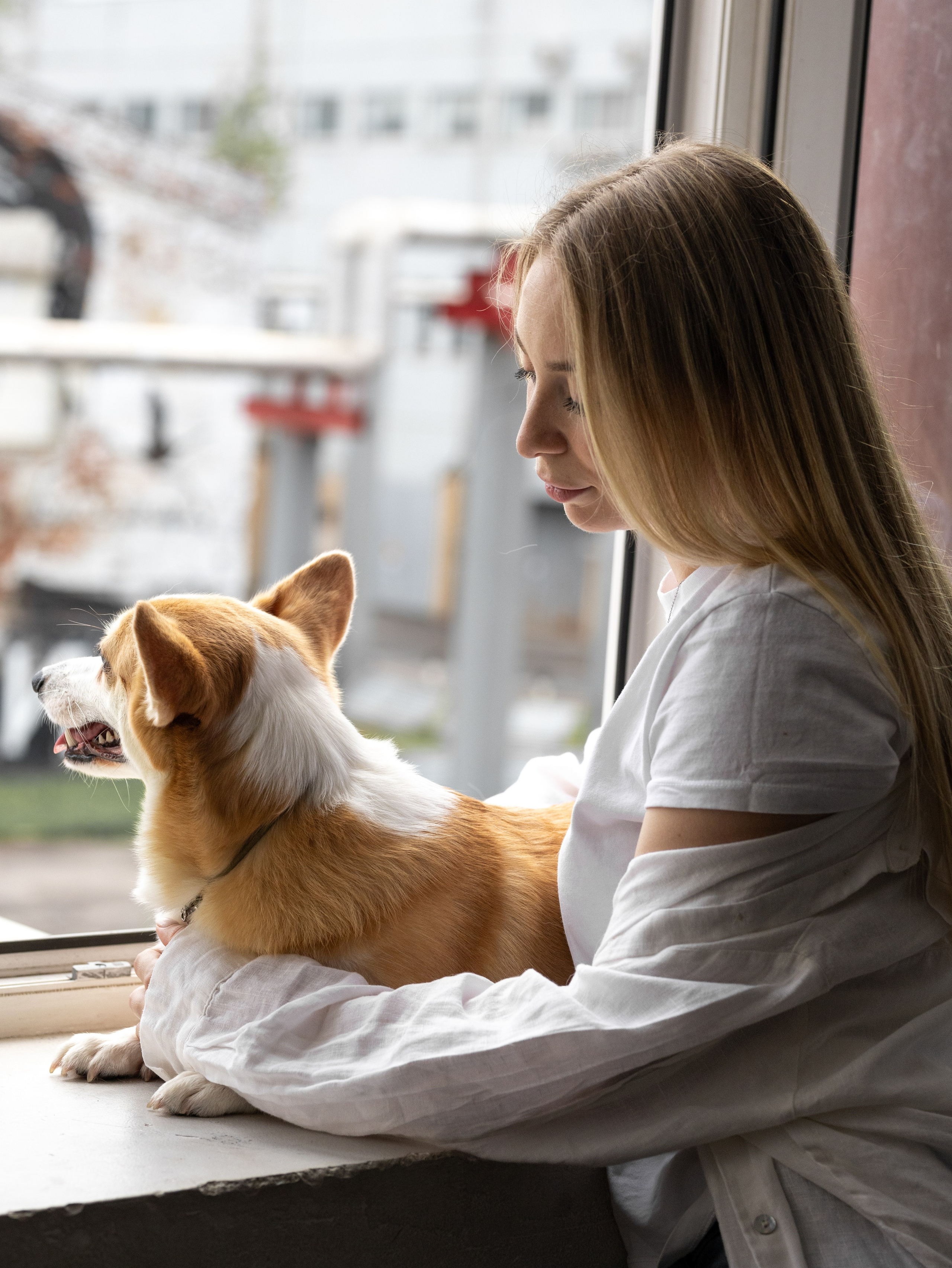 Оливка и Ника. Фотограф-анималист в Москве Кириллова Татьяна