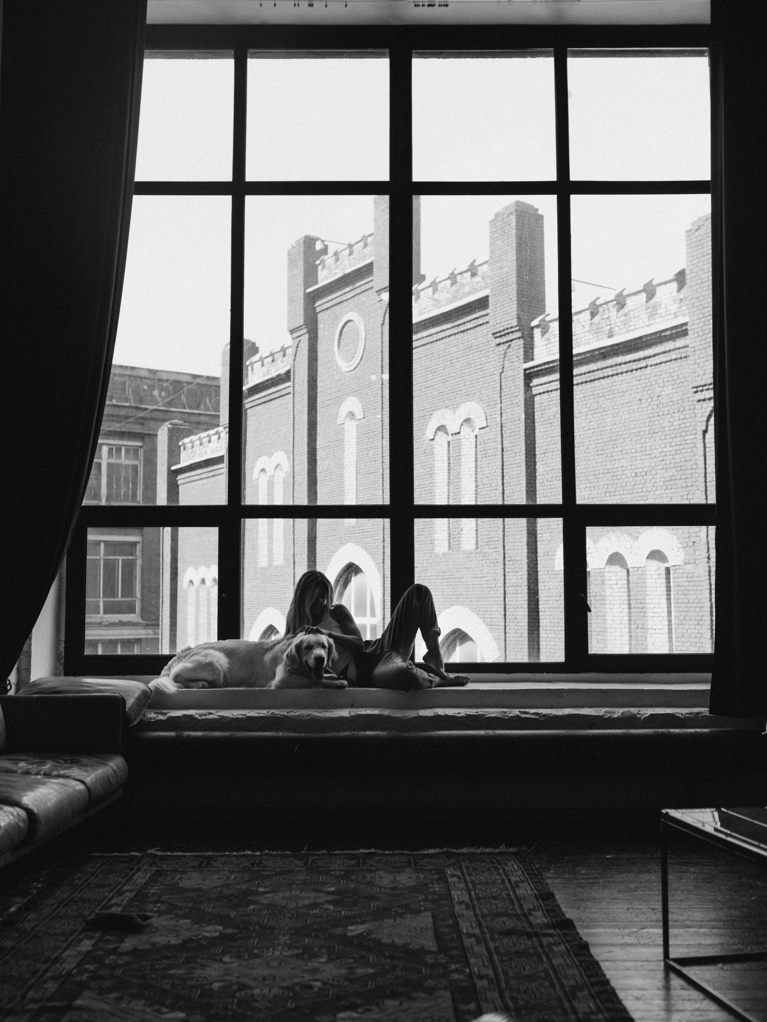 Энди и Настя. Фотограф-анималист в Москве Кириллова Татьяна