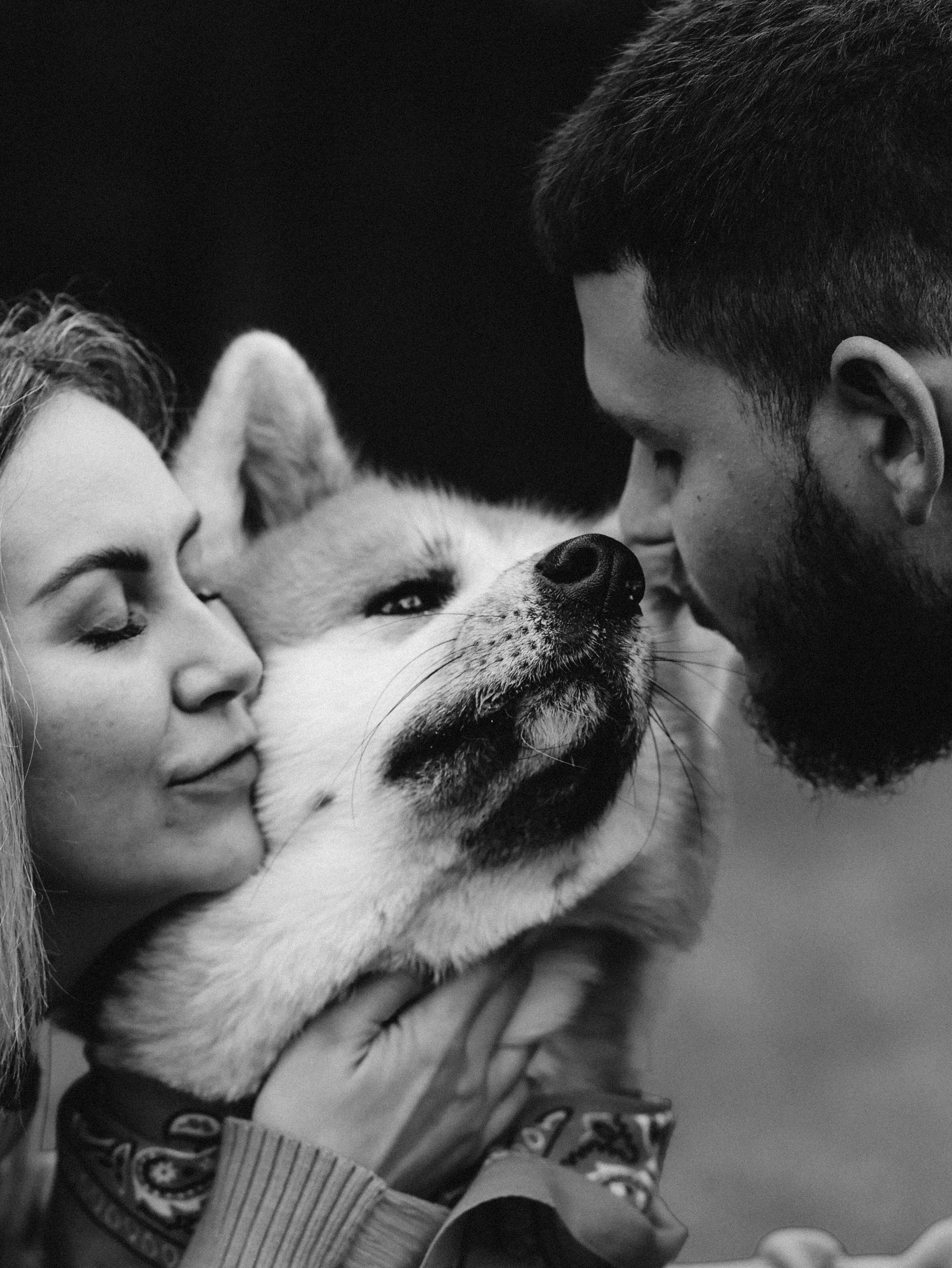Гранд, Вика и Степан. Фотограф-анималист в Москве Кириллова Татьяна