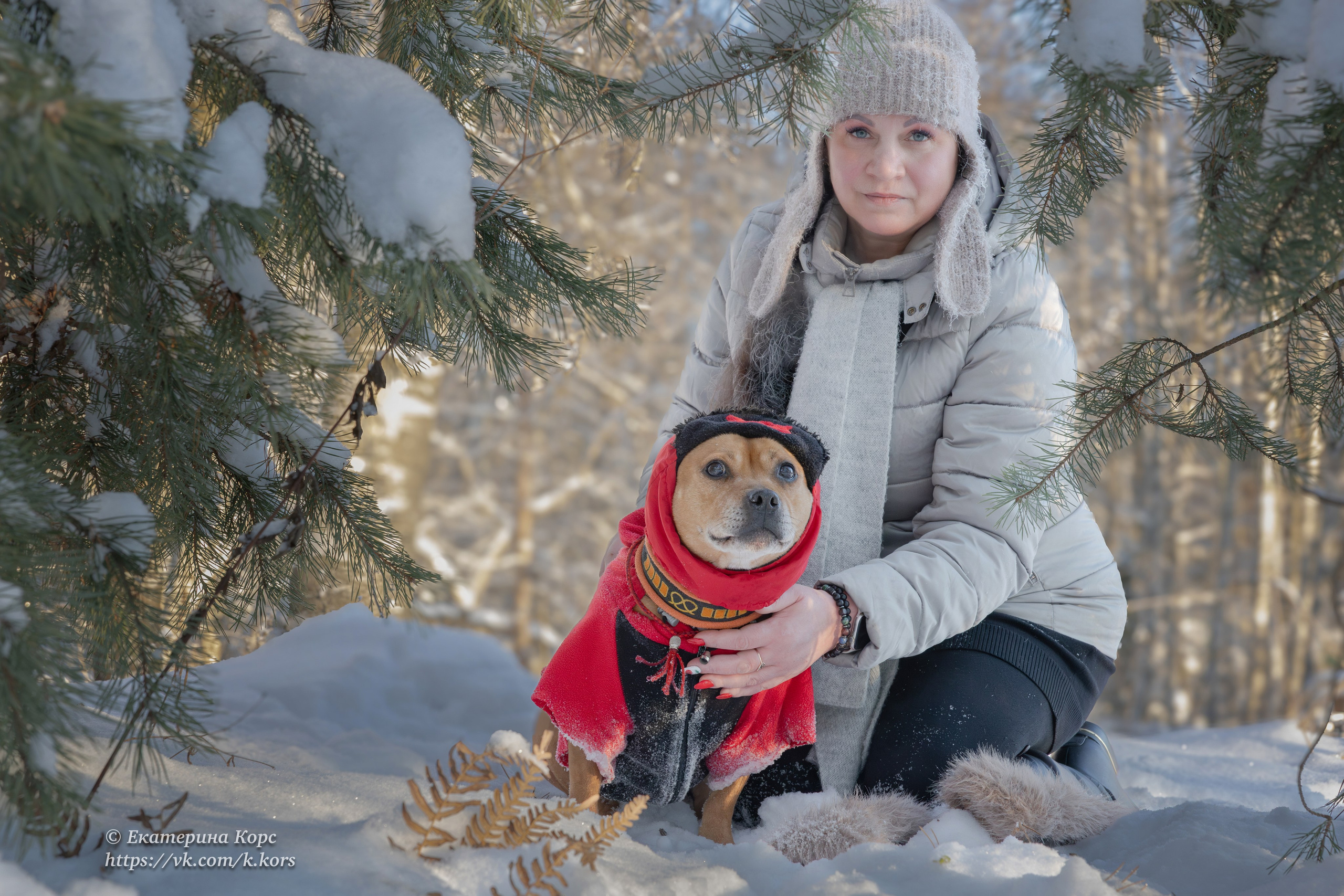 Собаки и люди. Главная