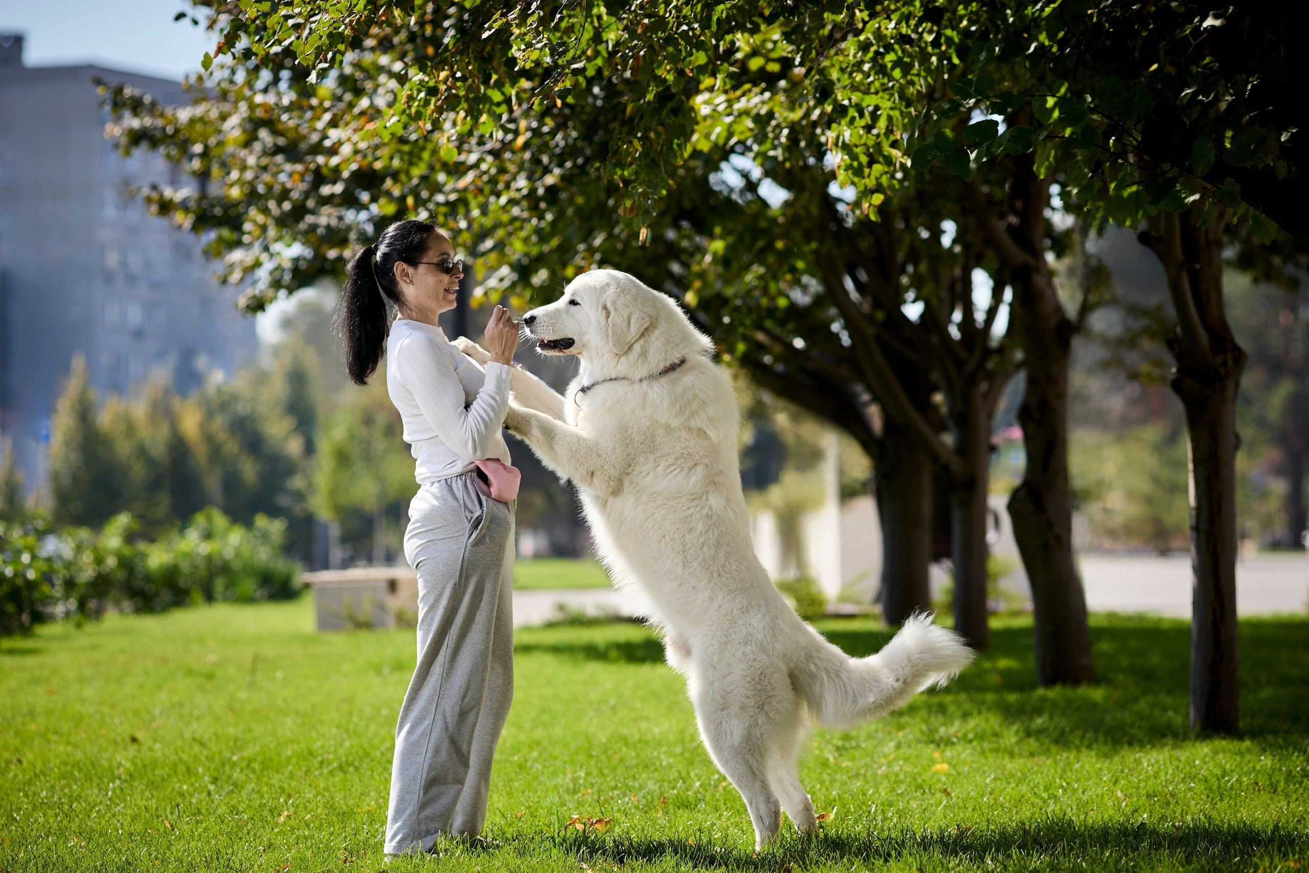 Фотопрогулка фотограф анималист