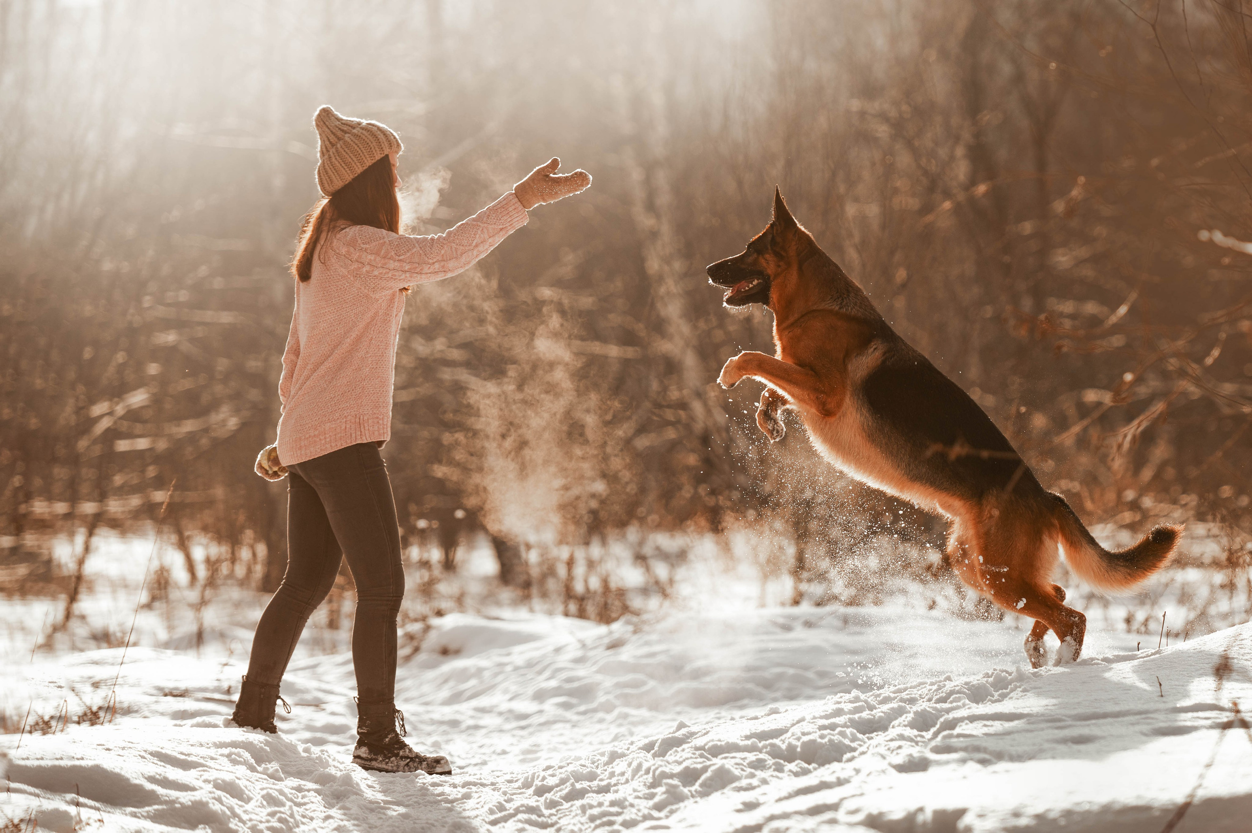 Вольт. Фотограф-анималист