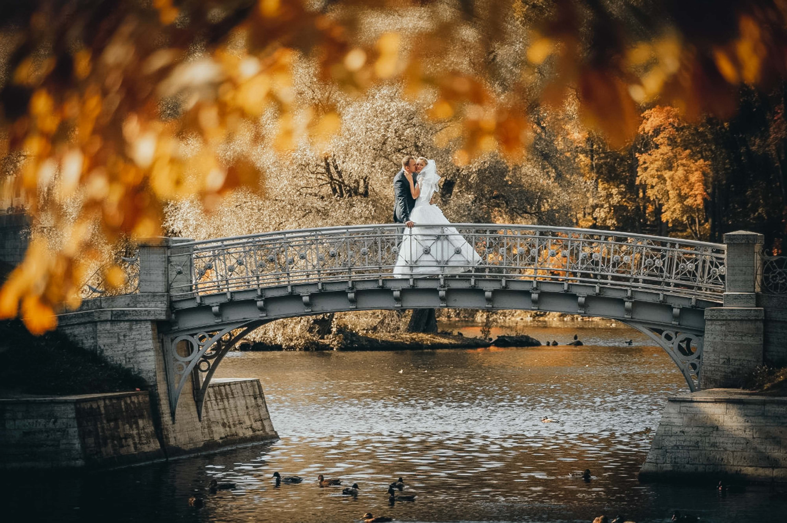 Свадьбы. Живые снимки! Фотограф Даша Бендер