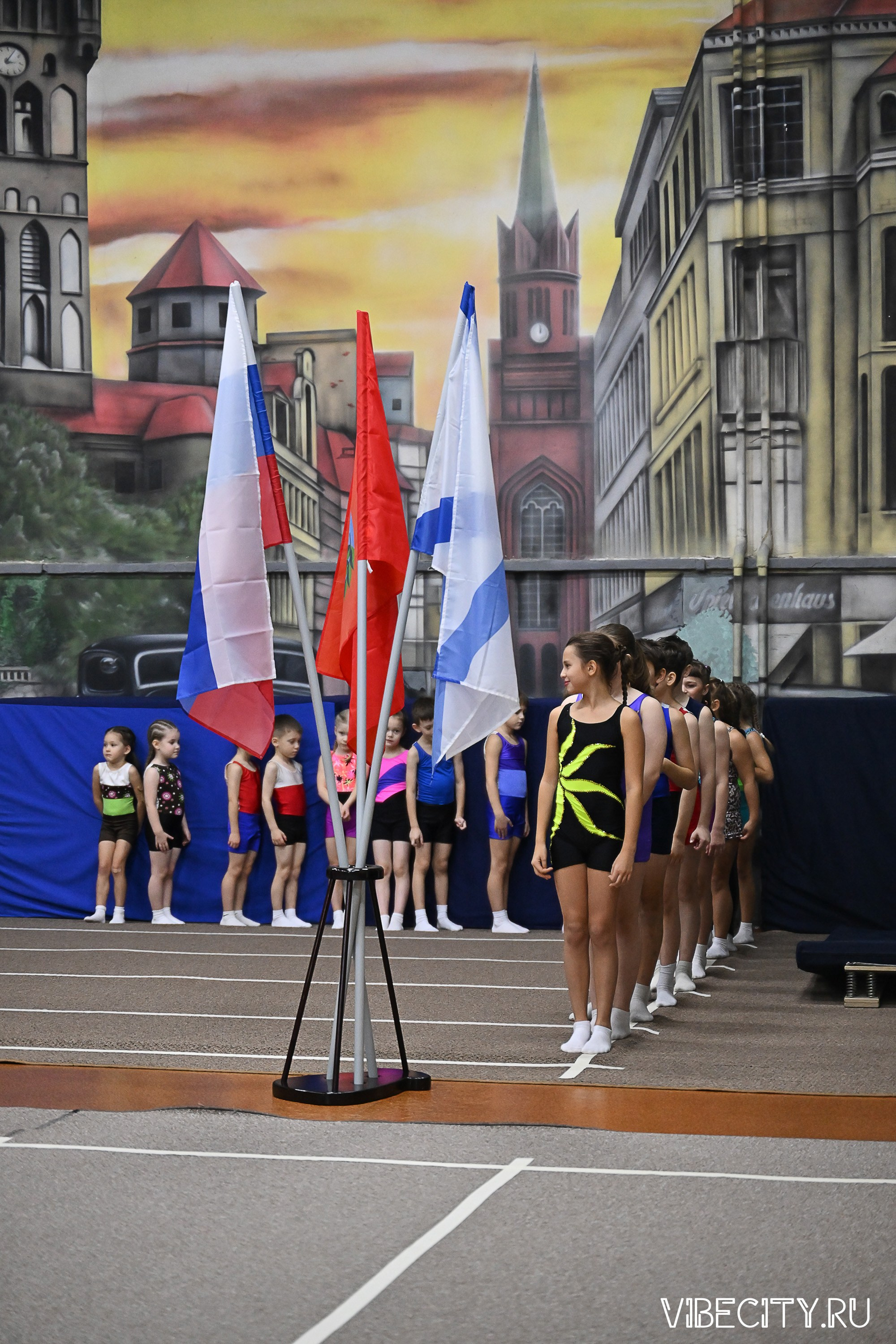 Контрольная тренировка по спортивной гимнастике. VIBECITY.RU Вайб Сити Ру Фоторепортажи Фотоотчеты Калининград
