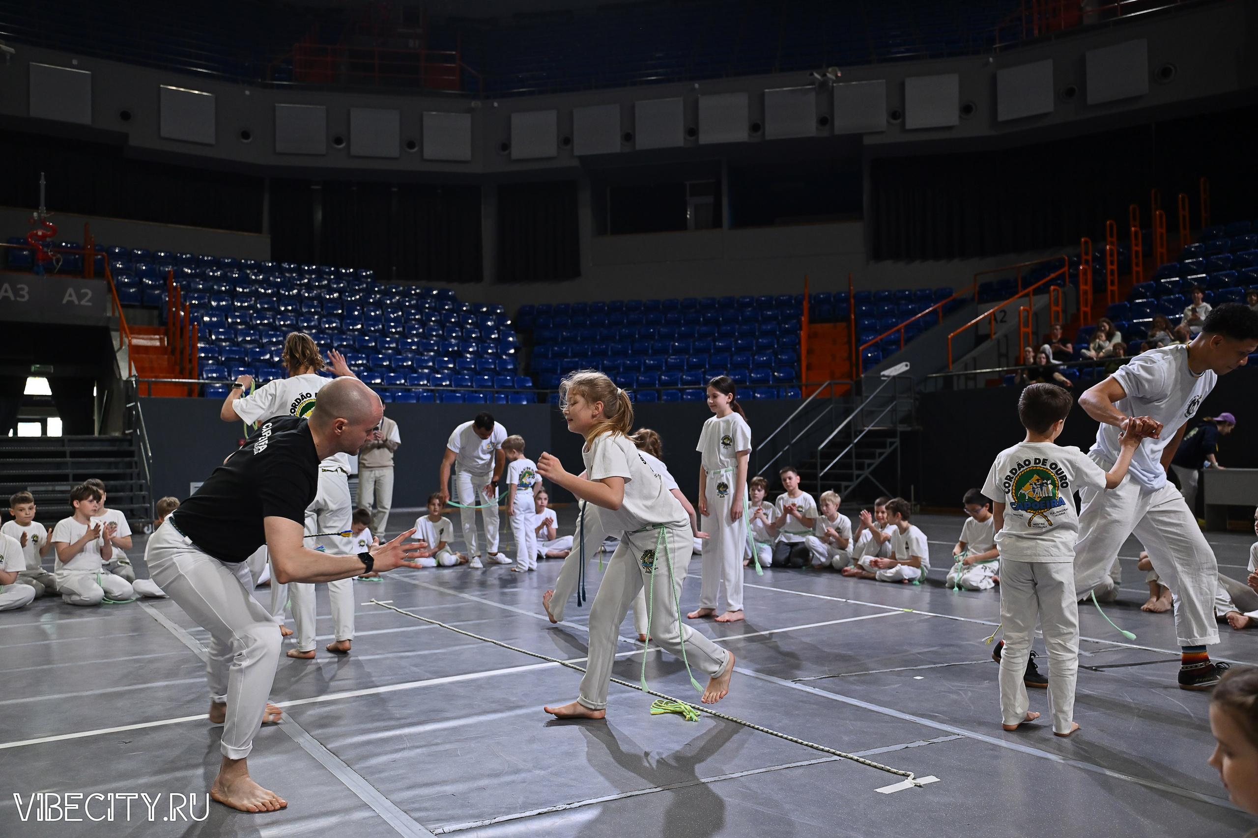 Капоэйра. Вручение поясов. VIBECITY.RU Вайб Сити Ру Фоторепортажи Фотоотчеты Калининград