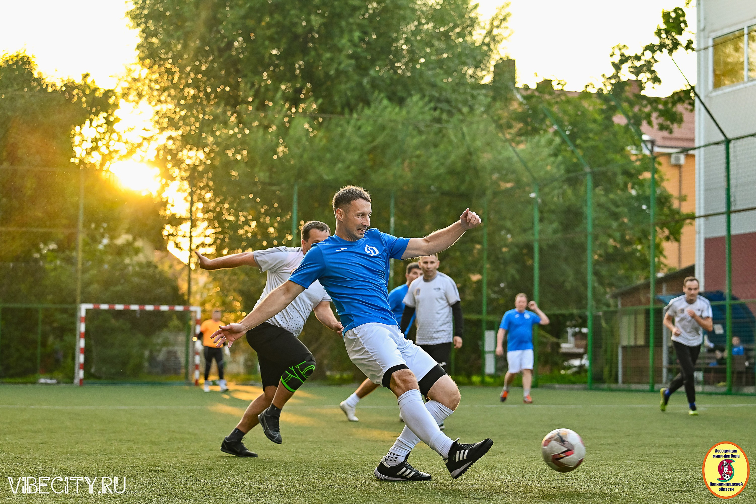 ИГРЫ ПЛЕЙ-ОФФ ПЕРВОГО ДИВИЗИОНА МИНИ-ФУТБОЛЬНОЙ ЛИГИ. VIBECITY.RU Вайб Сити Ру Фоторепортажи Фотоотчеты Калининград