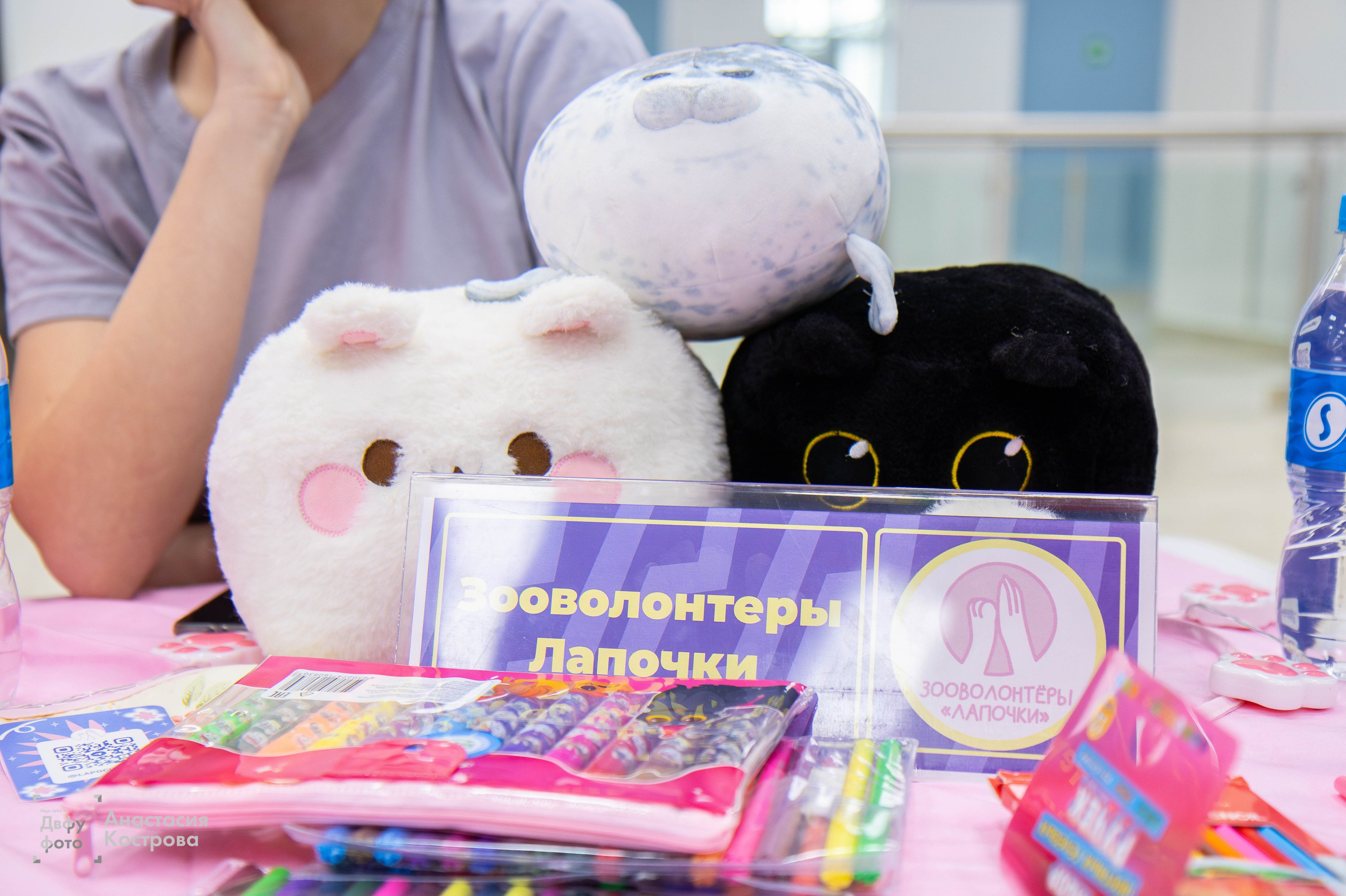 Ярмарка вакансий «Эд.хант». Репортажный фотограф во Владивостоке Анастасия Кострова