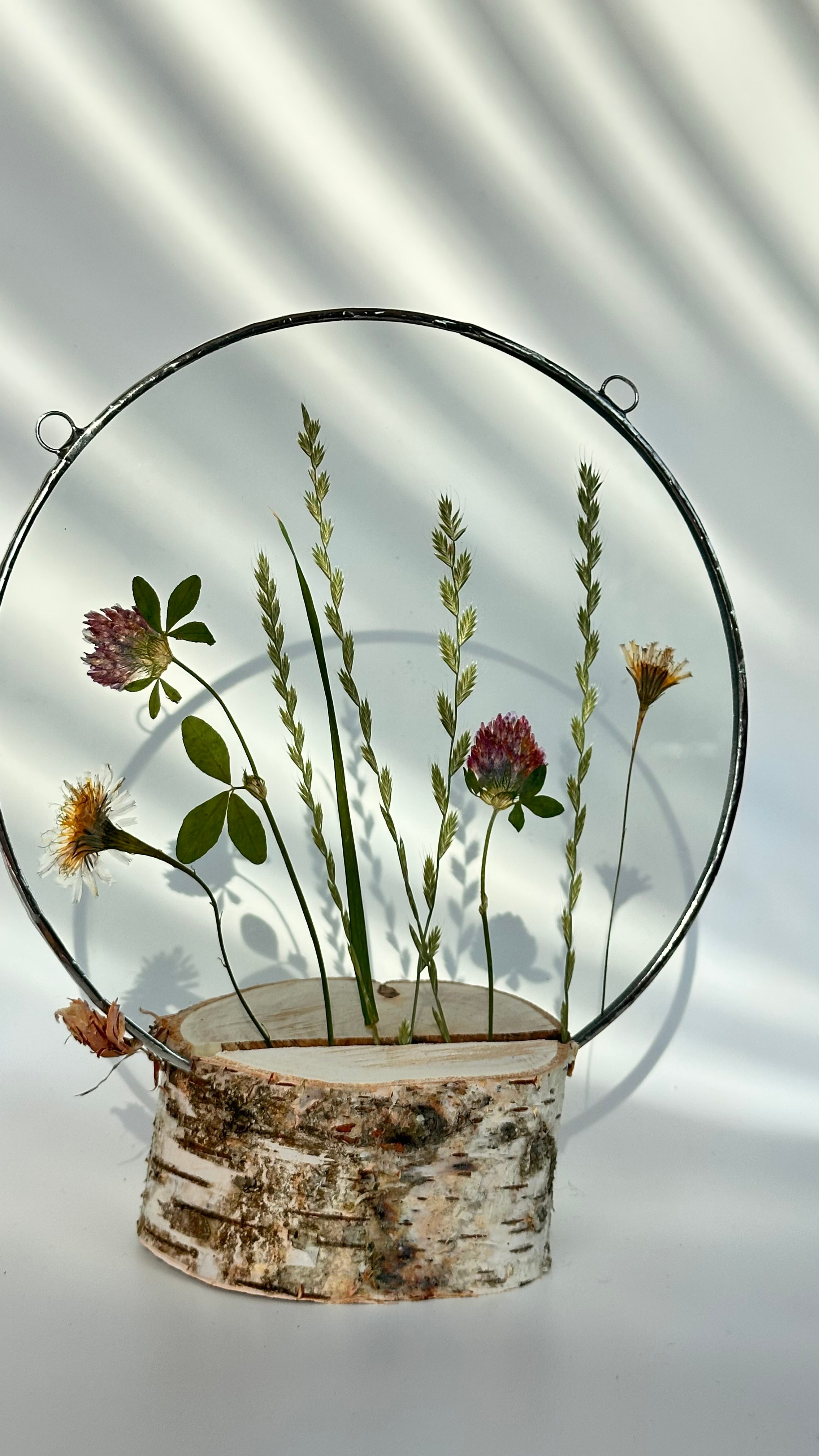 Гербарий полевые цветы витраж техника тиффани. Гербарий в стекле, интерьерные панно, витражи с сухоцветами в технике тиффани