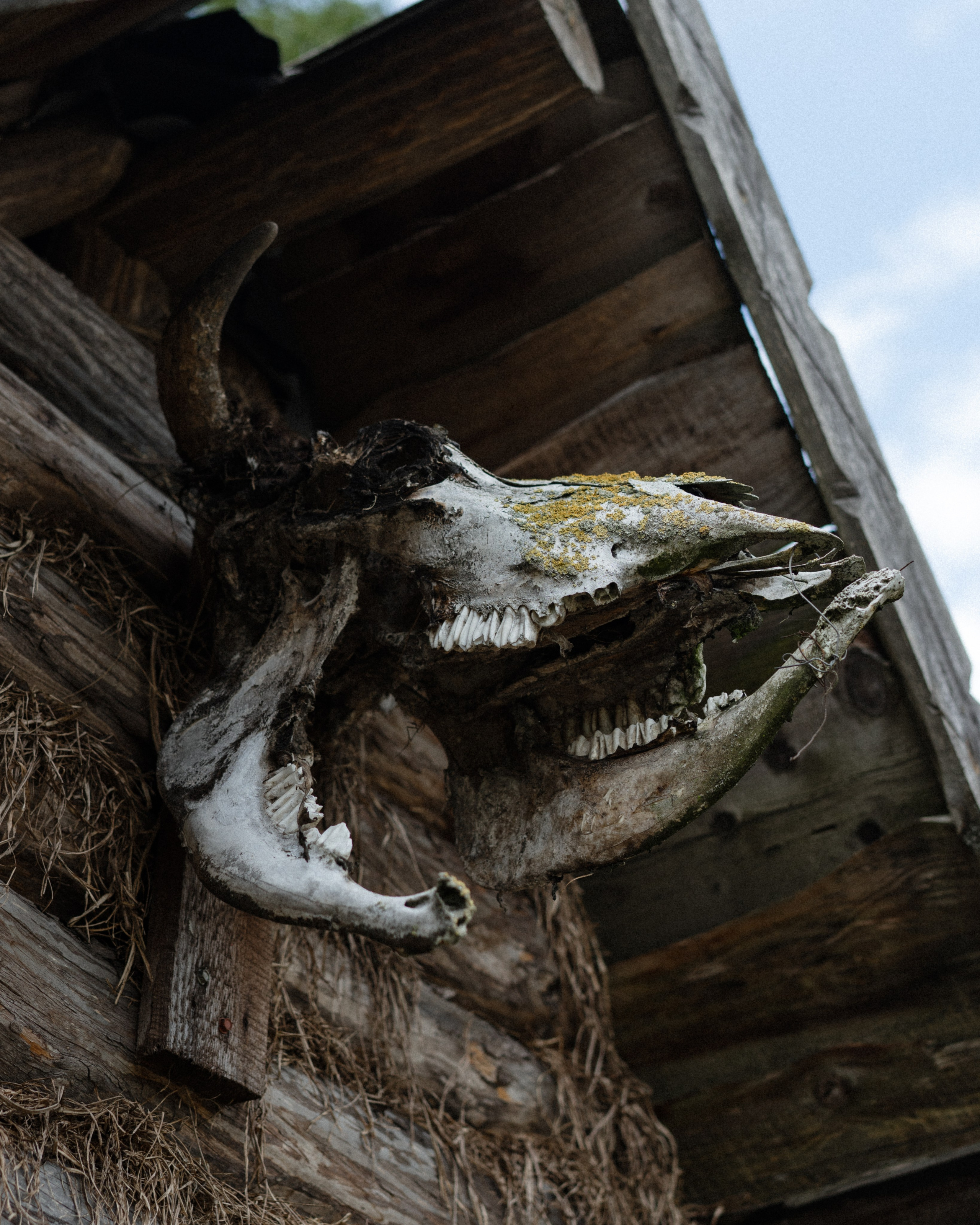 Беларусь. Твой фотограф в Москве и Московской области Романцова Ирина