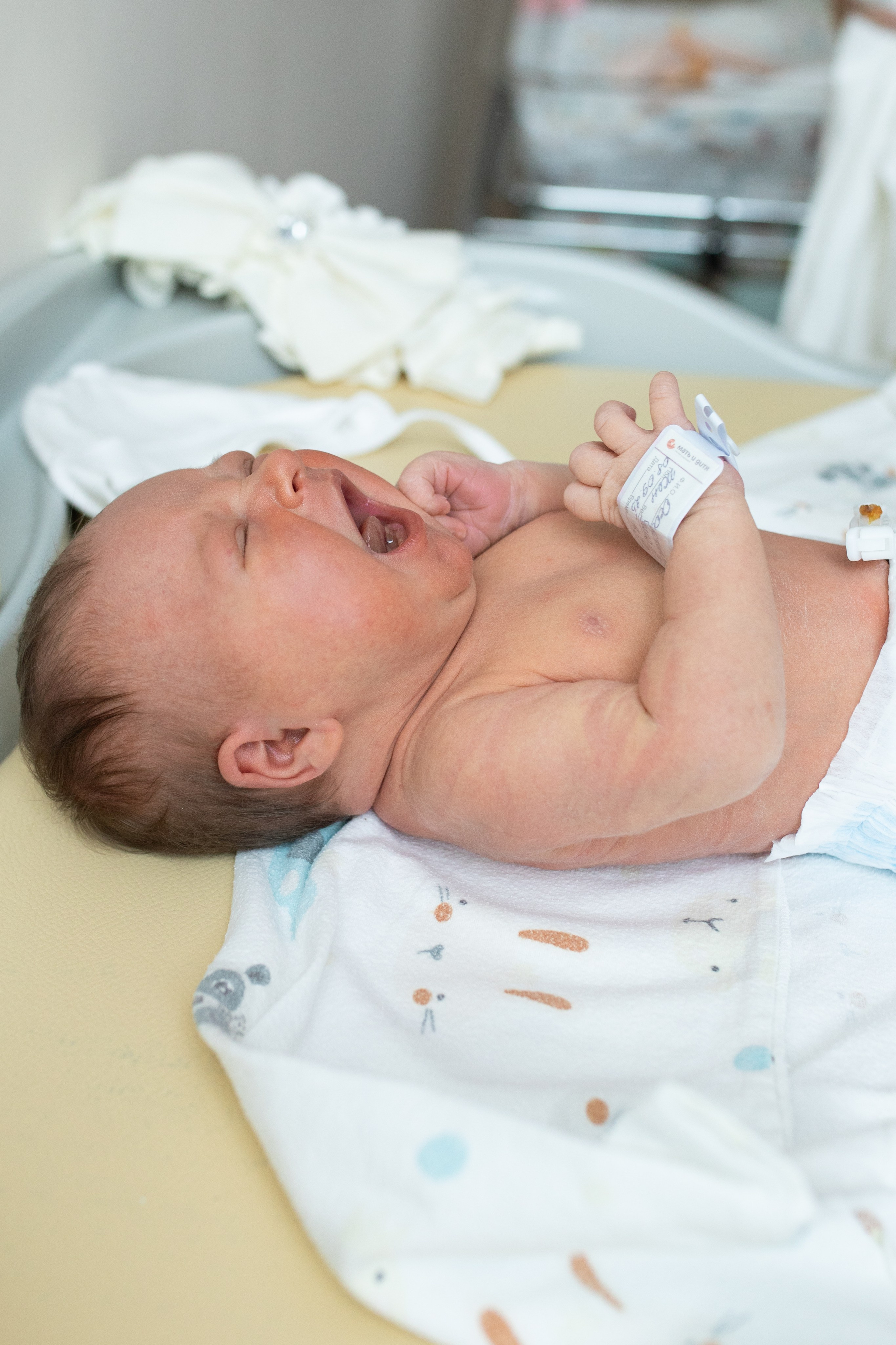 Авиценна. Фотограф в Новосибирске Ася Зверева