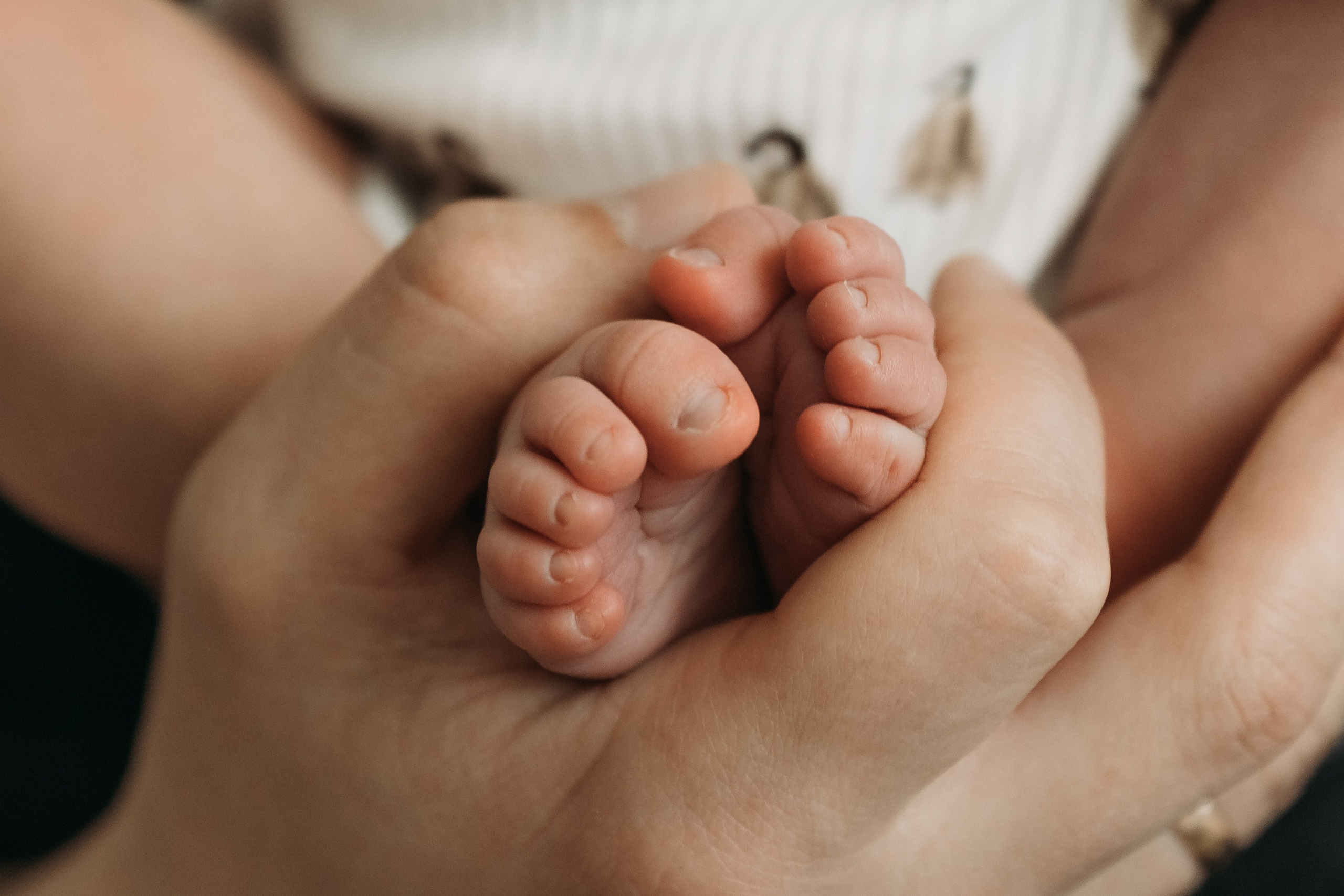 Макару 14 дней. Семейный фотограф в Санкт-Петербурге — Наташа Тарасенко