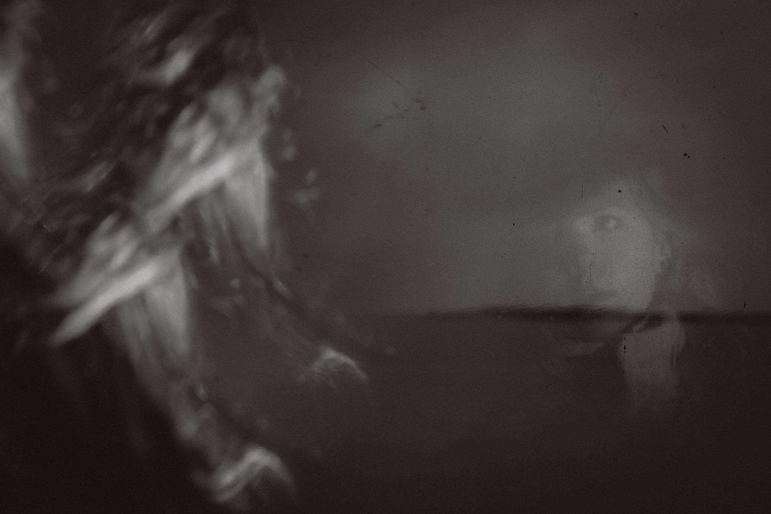 Семейная прогулка. Привет! Меня зовут Дарья и я фотограф/видеограф из Ульяновска