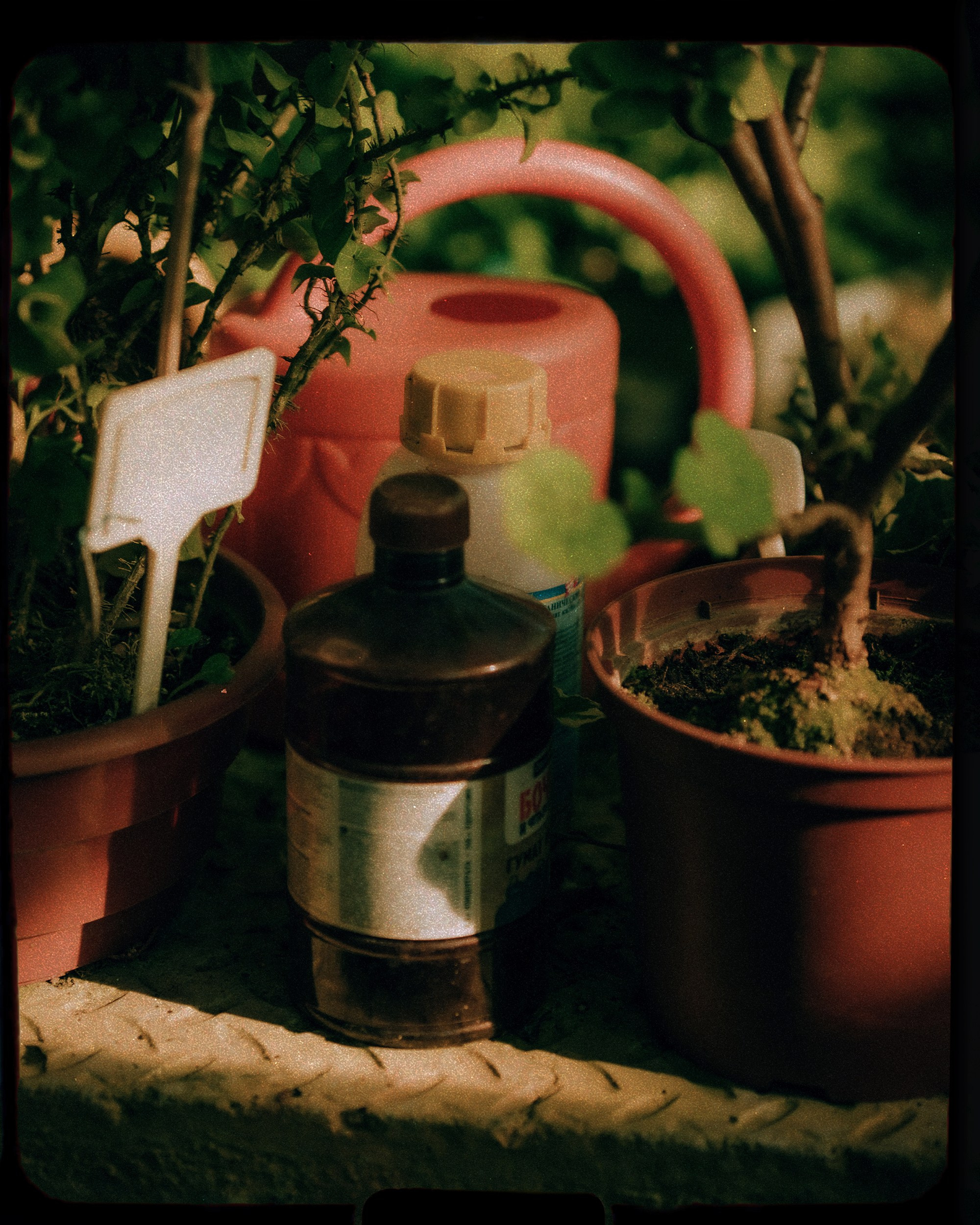 Женский портрет. Кошенкова Мария: портретный и репортажный фотограф. Санкт-Петербург