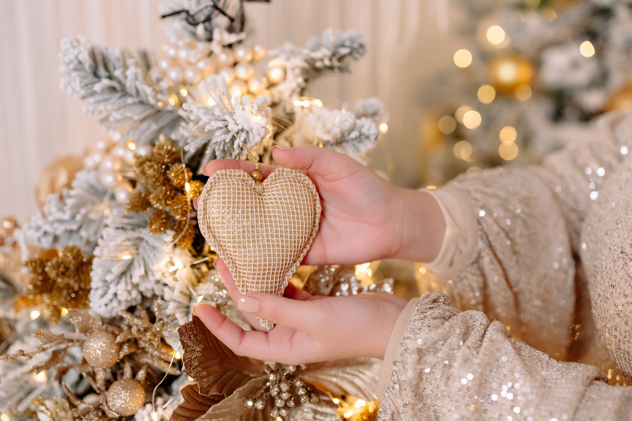 Новый год 2025. Фотостудия Сфера в Чехове