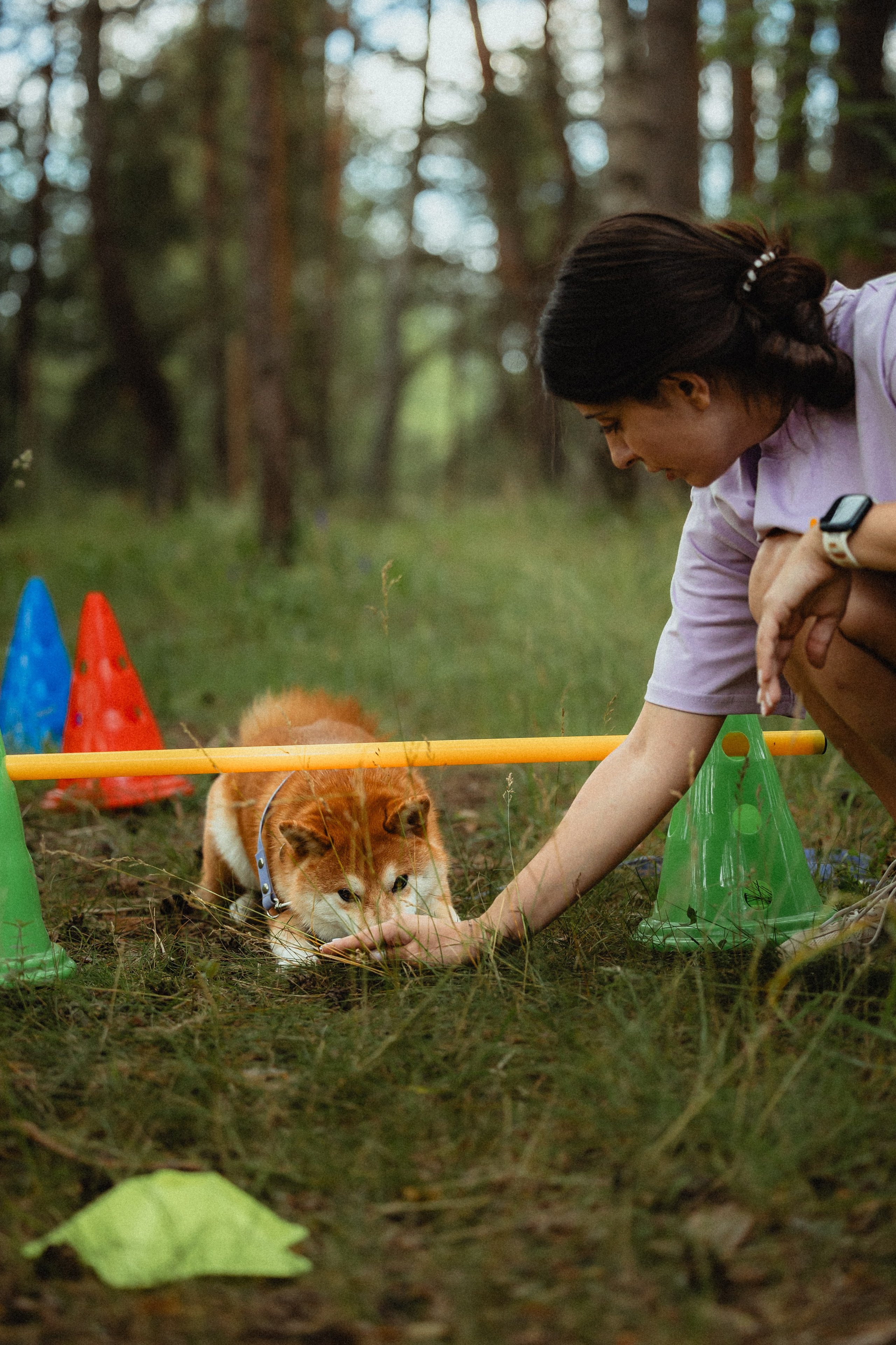 Выездной дог-тренинг от школы «Шерсть имею»