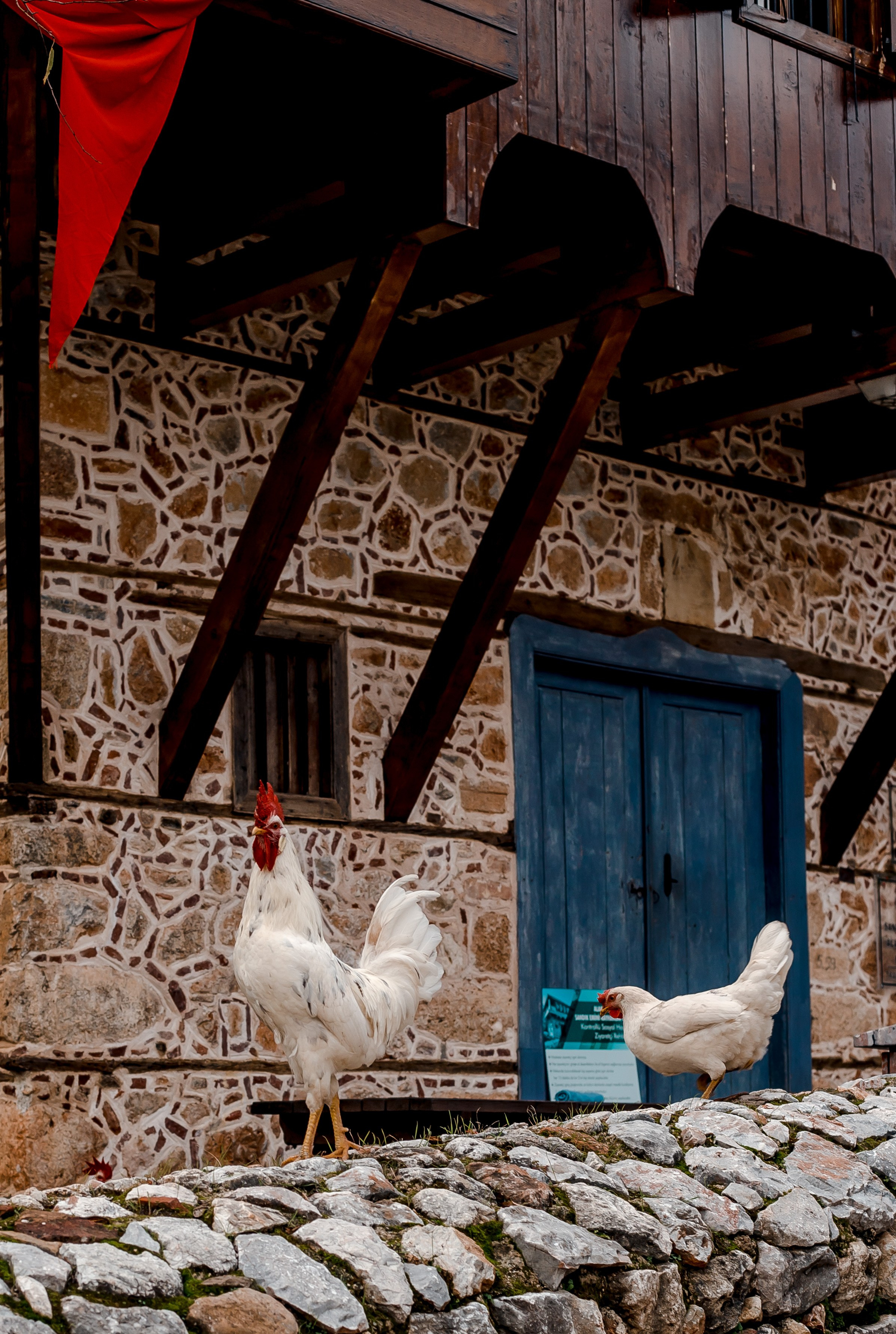 Turkey, Alanya. Art Photographer