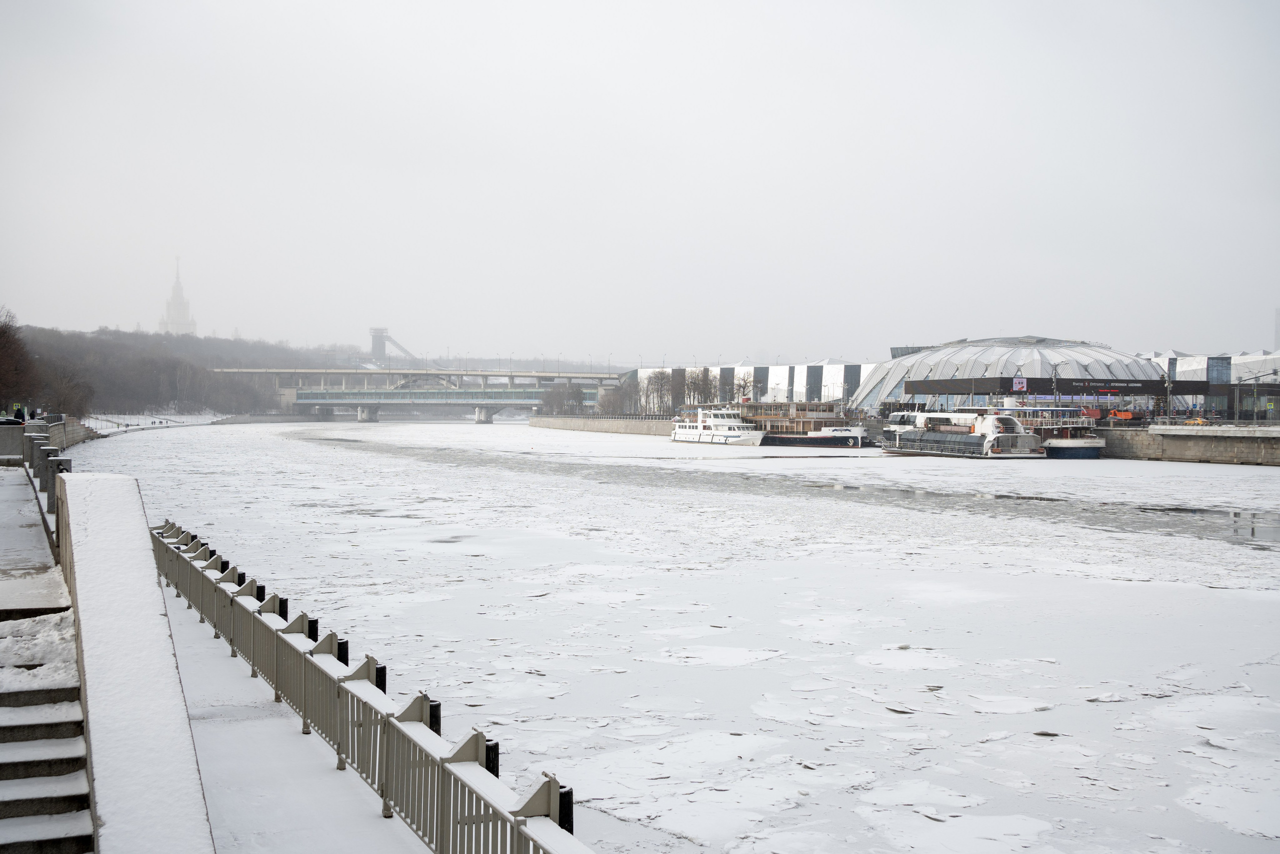 20250216 Нескучный сад. Дмитрий Ремизов. Фотография, как хобби