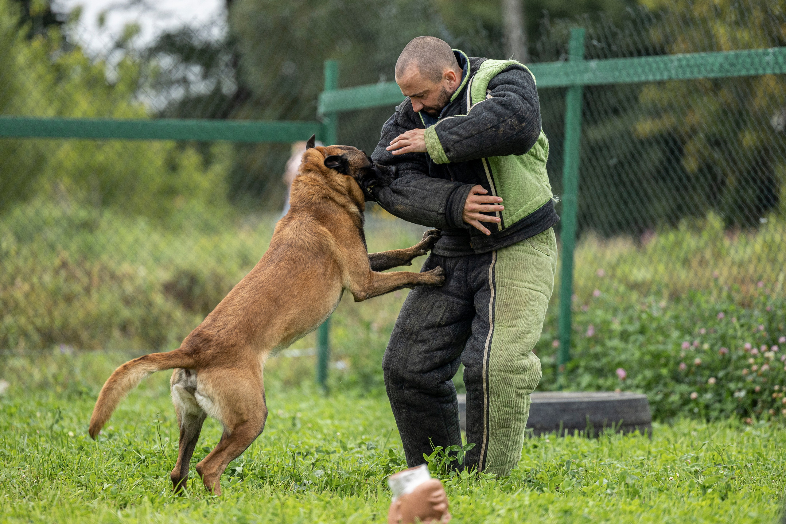 Соревнования по Мондьорингу г. Вологда 10-11.08.2024. Фотограф-анималист Анна Маринич