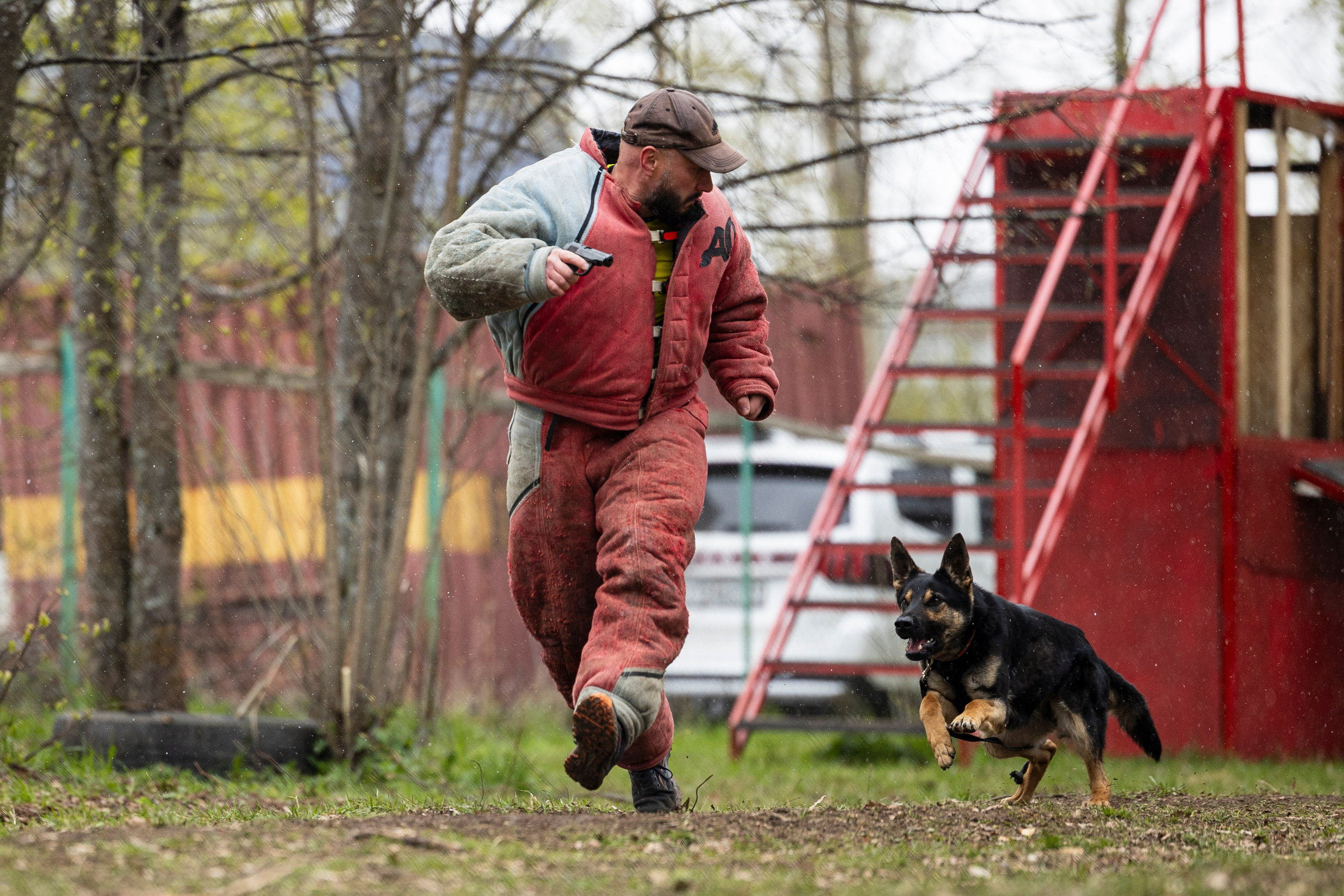 Квалификационные состязания по мондьорингу г. Вологда 11.05.24. Фотограф-анималист Анна Маринич