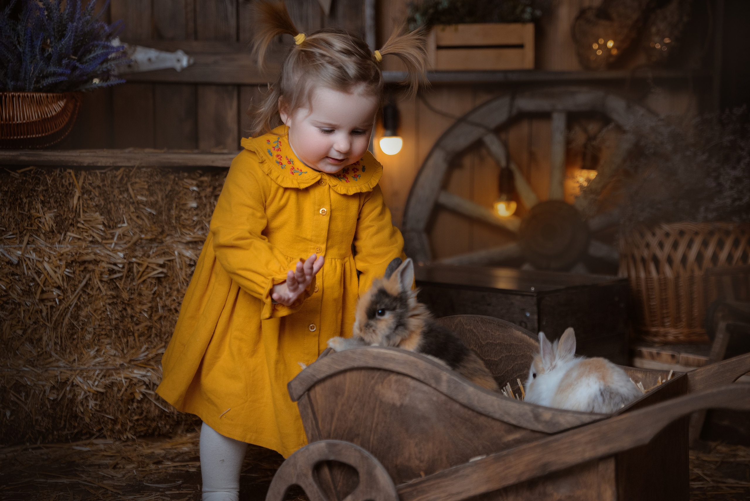 Студийные фото. Фотограф Надя Заручевская