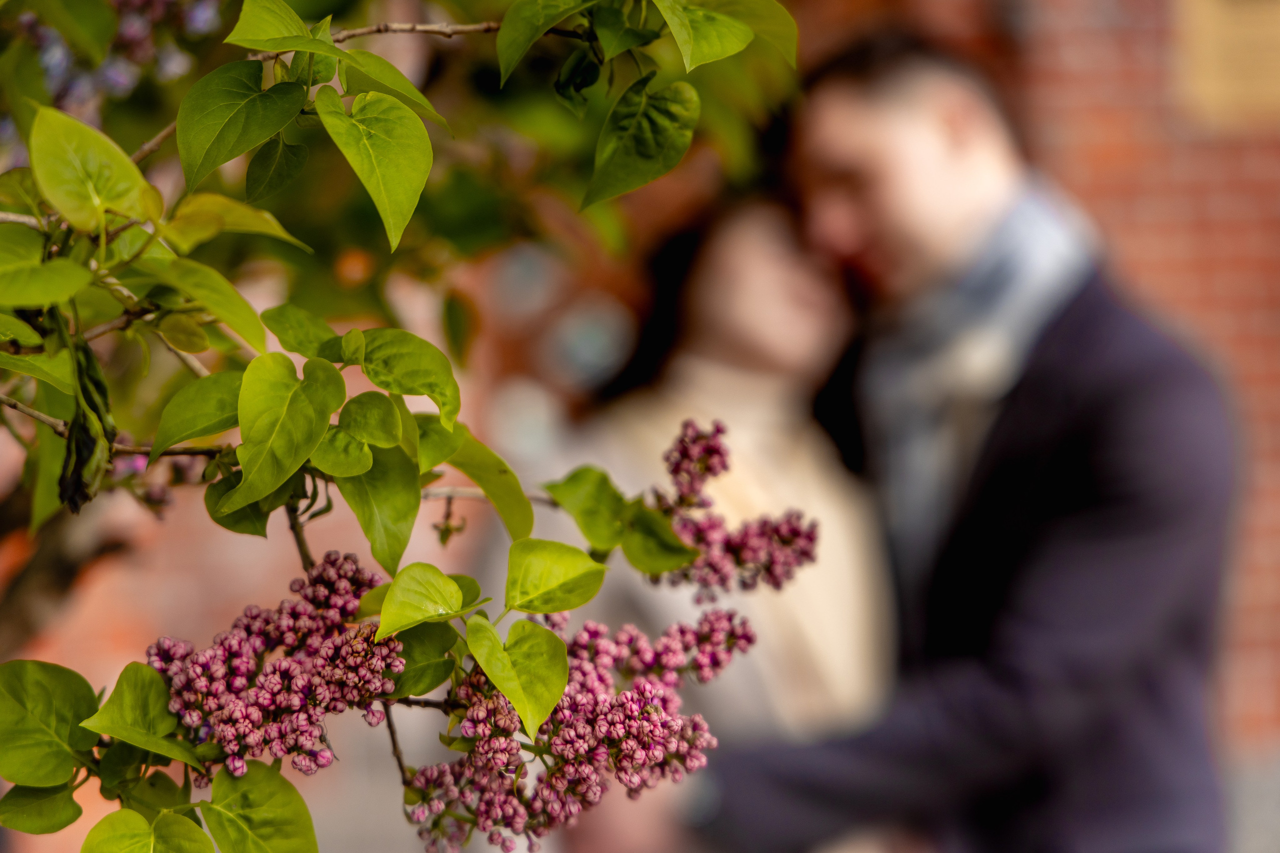Музей Янтаря. Фотограф Елена Медок Калининград