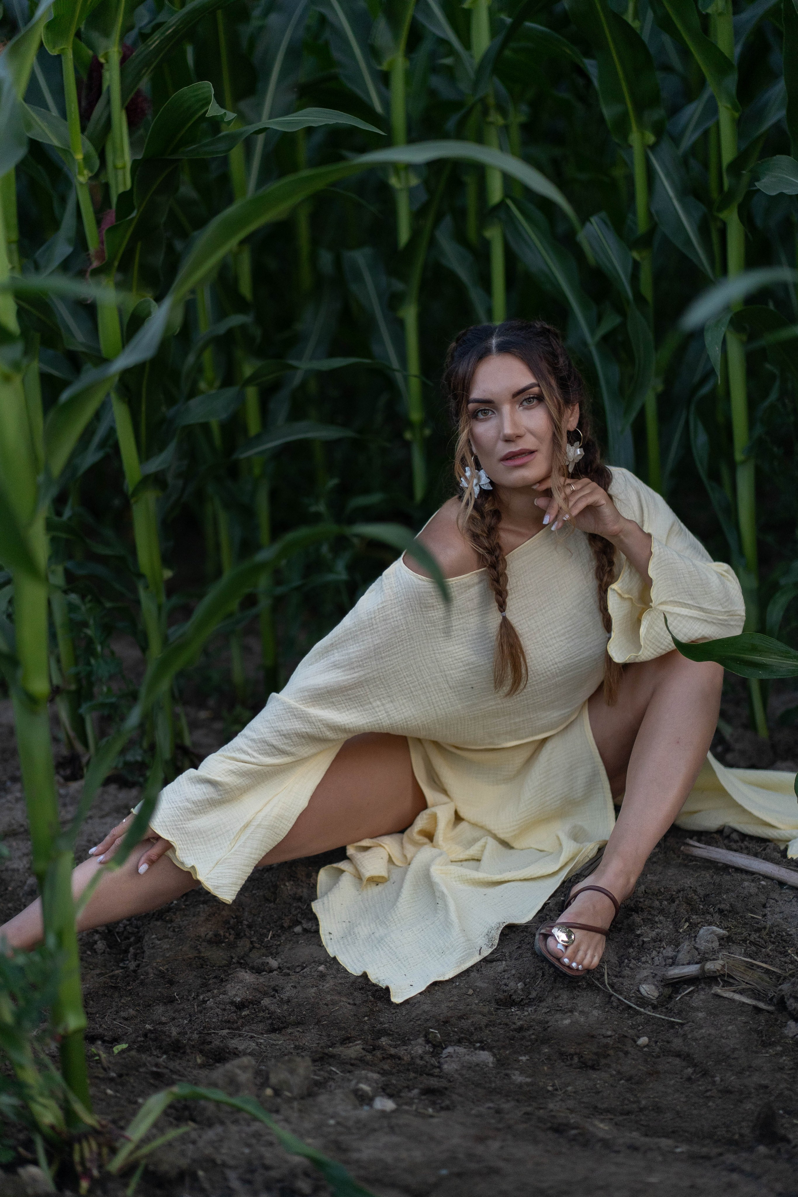 Кукурузное поле. Главная