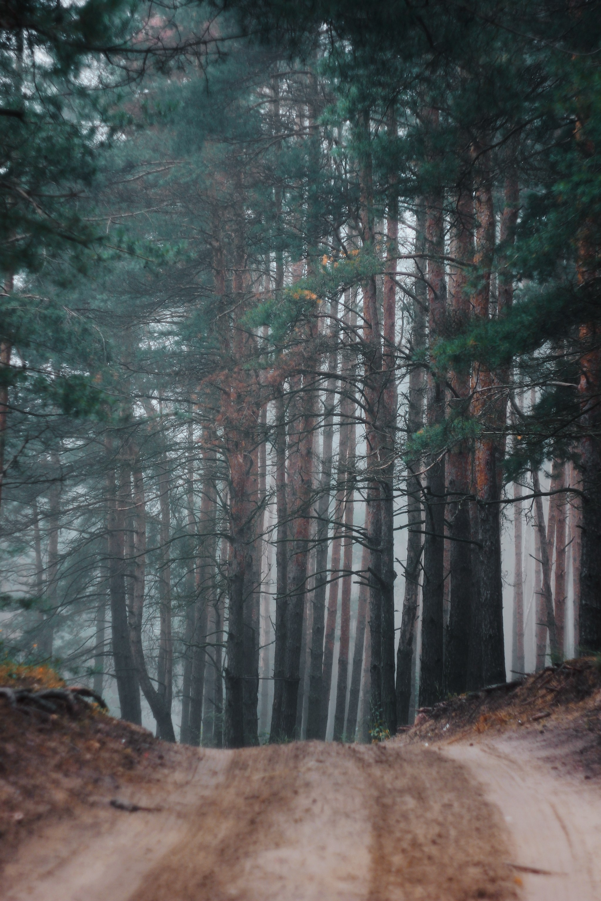 Меланхолия августа. С любовью, фотохудожник