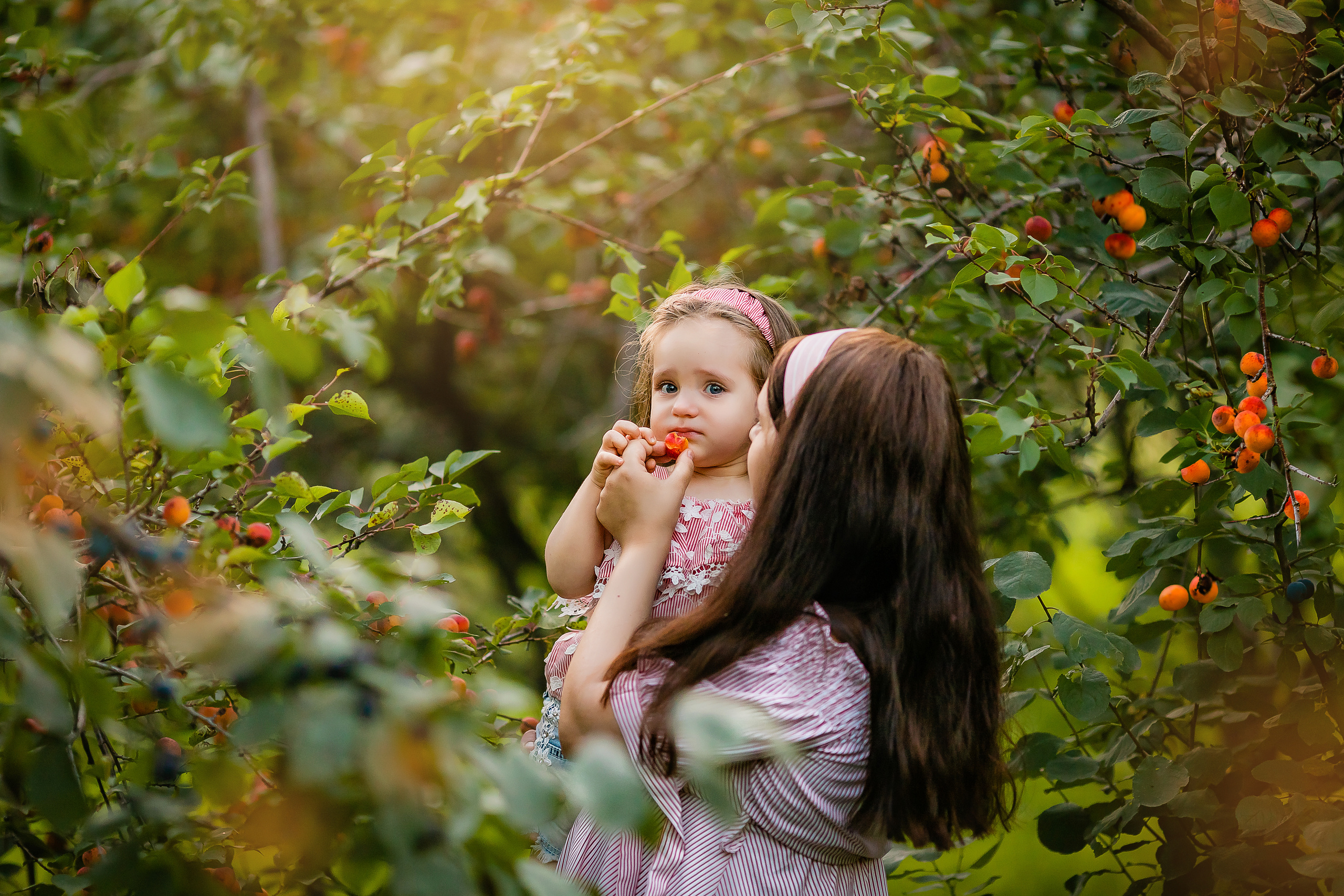 Абрикосовый сад. Семейный и свадебный фотограф в Чебоксарах и Новочебоксарске Ирина Юрь