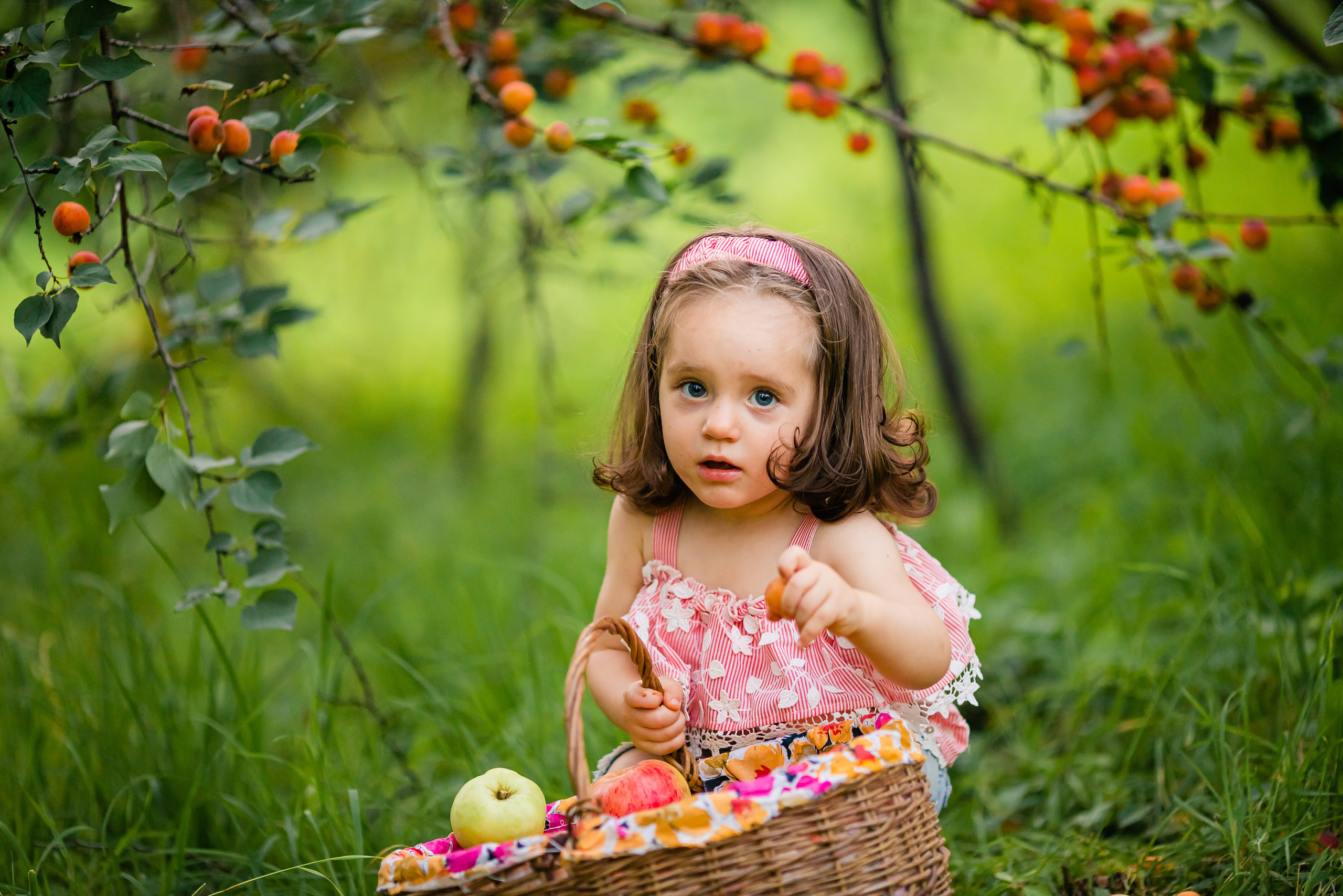 Абрикосовый сад. Семейный и свадебный фотограф в Чебоксарах и Новочебоксарске Ирина Юрь