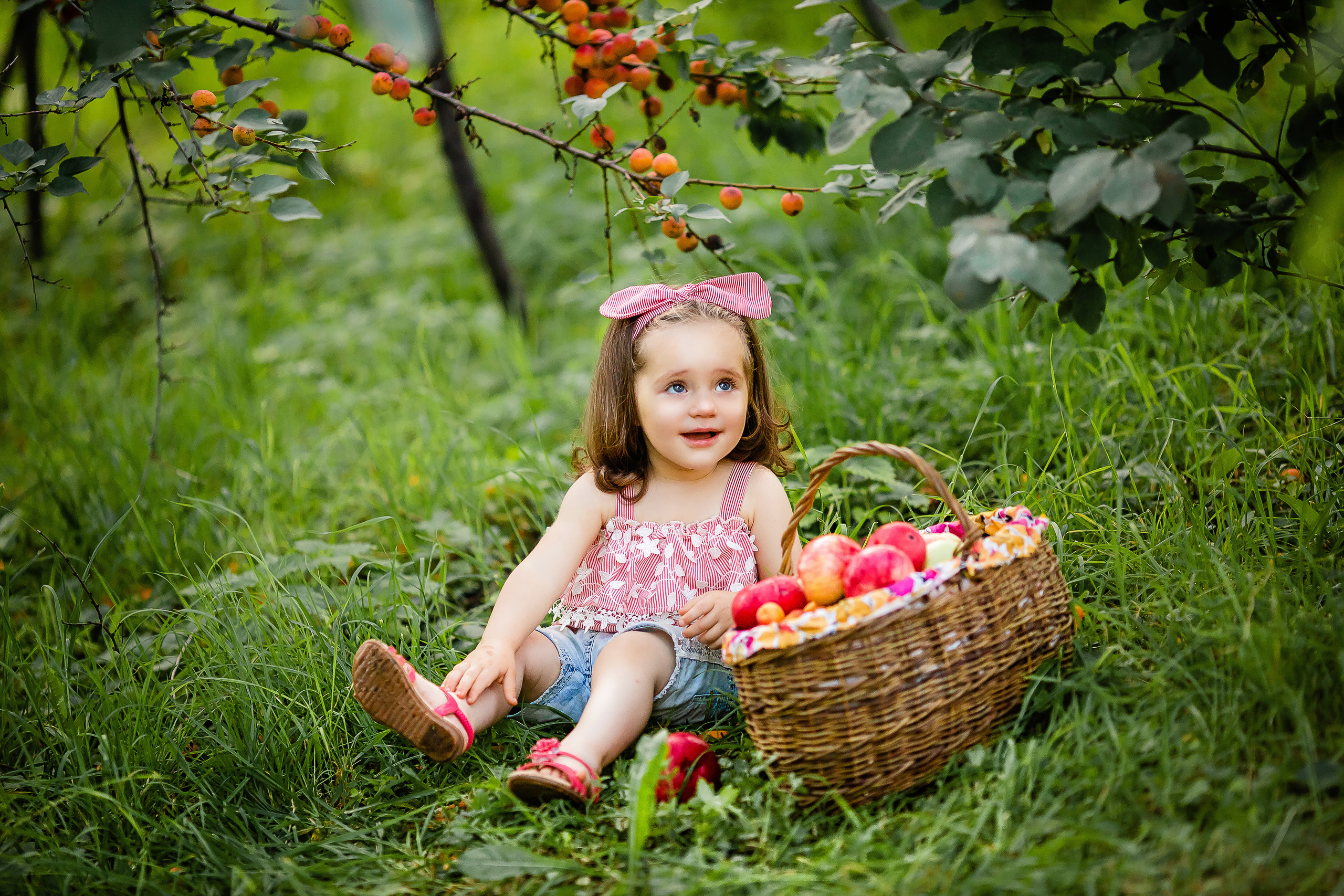 Абрикосовый сад. Семейный и свадебный фотограф в Чебоксарах и Новочебоксарске Ирина Юрь
