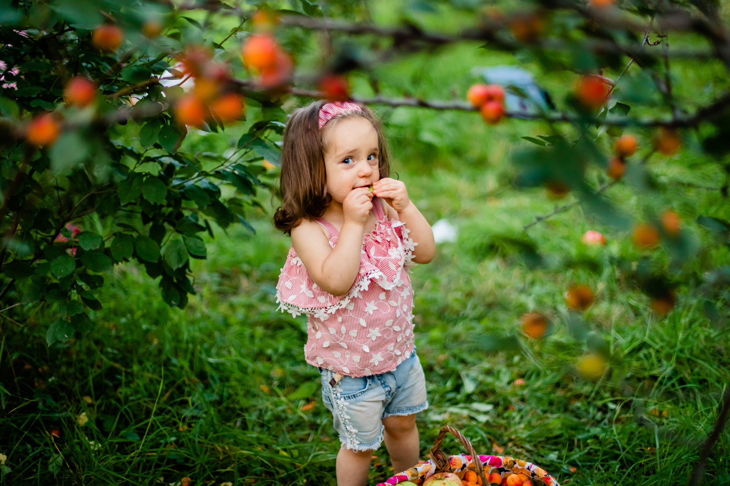 Абрикосовый сад. Семейный и свадебный фотограф в Чебоксарах и Новочебоксарске Ирина Юрь