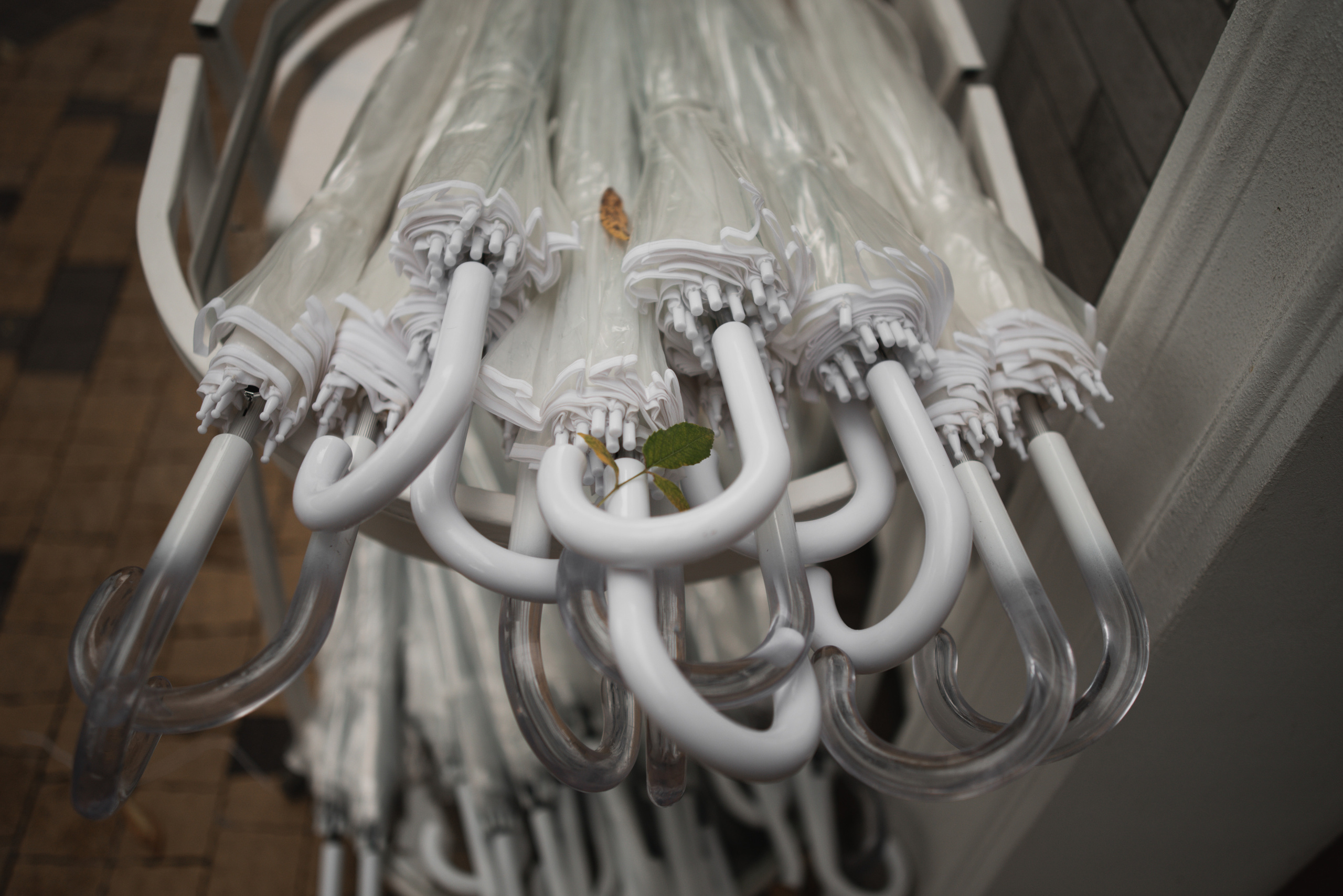 Breeze. Свадебный фотограф Марина Шлыкова