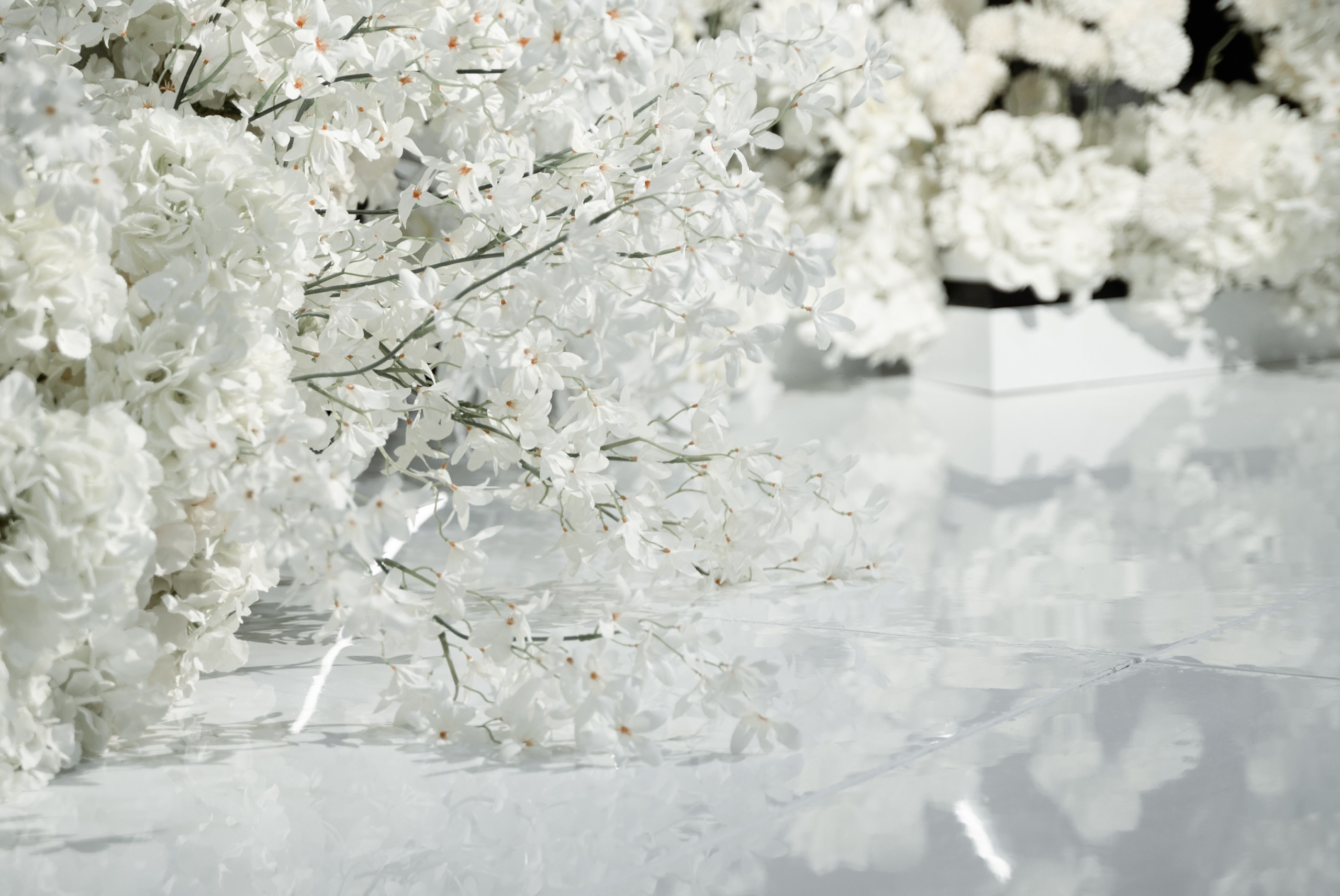 Аселя & Ерден. Свадебный и семейный фотограф Тюмень Екатеринбург Москвина Алёна