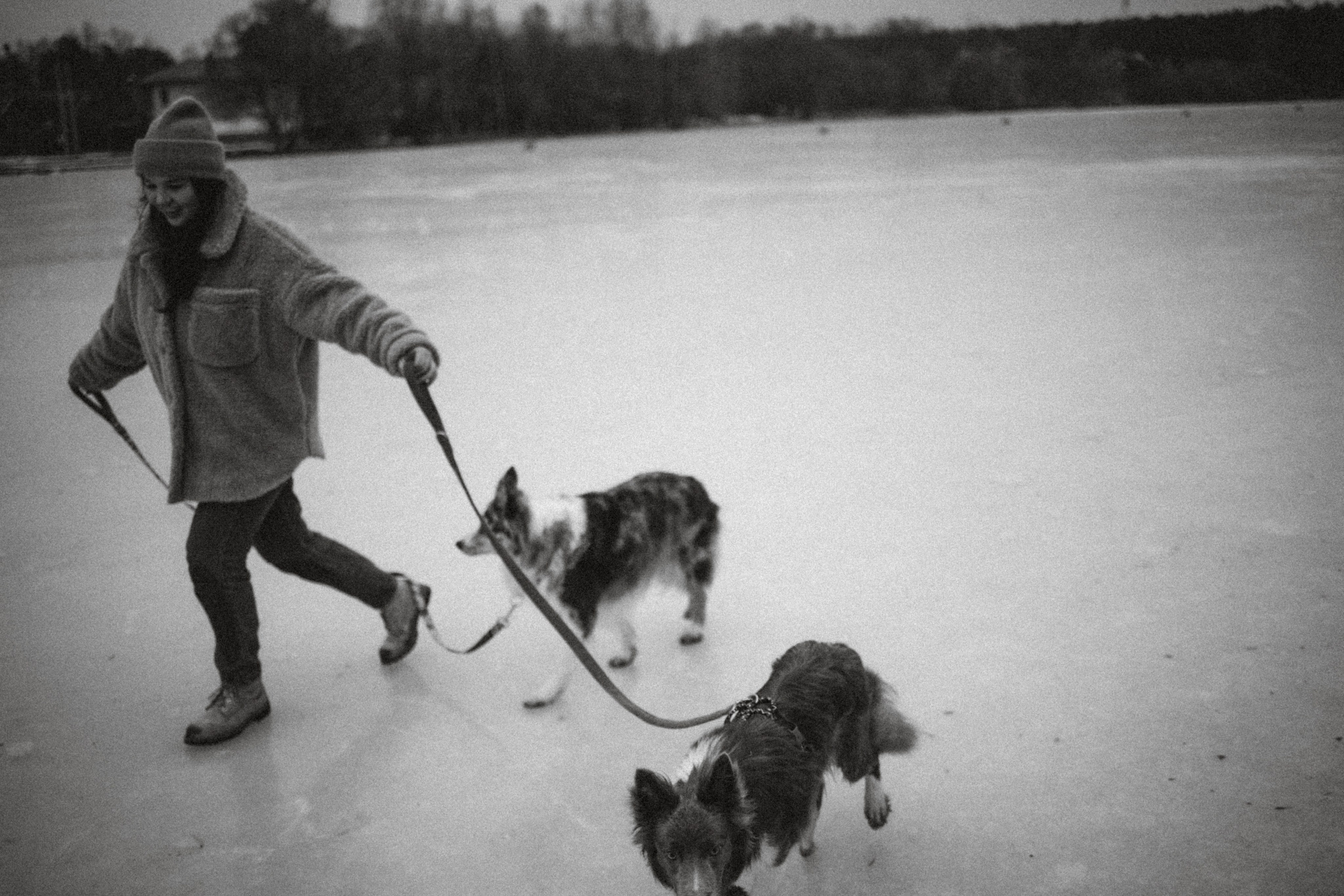 Полина, Милли и Паддингтон