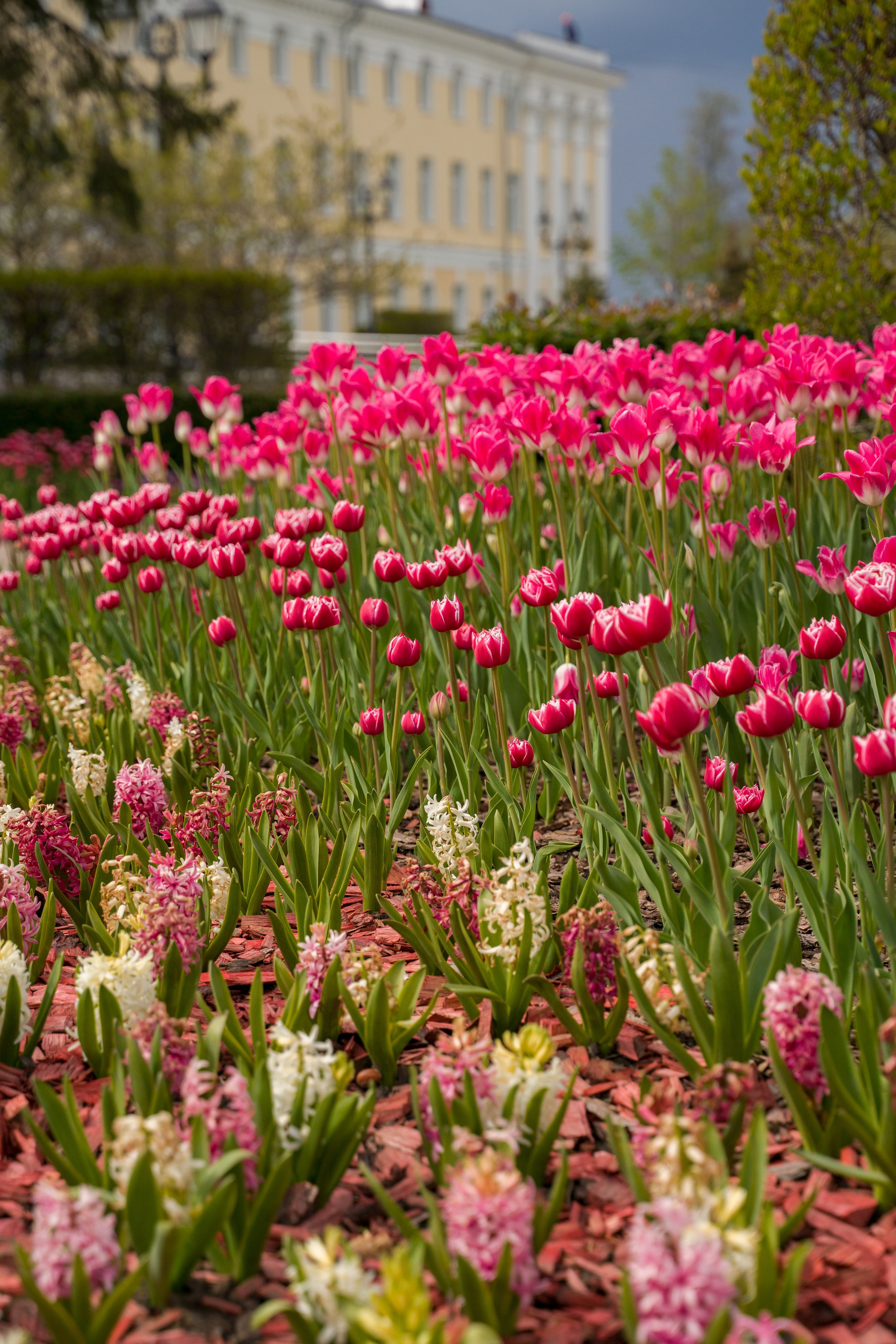 Нижний Новгород. Контент-фотограф в Нижнем Новгороде Антошина Ольга
