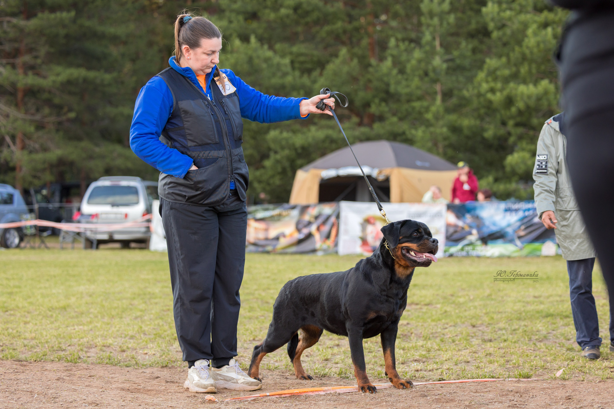 Тверь ротвейлеры 5-6.07.2025. Фотограф-анималист Юлия Германика