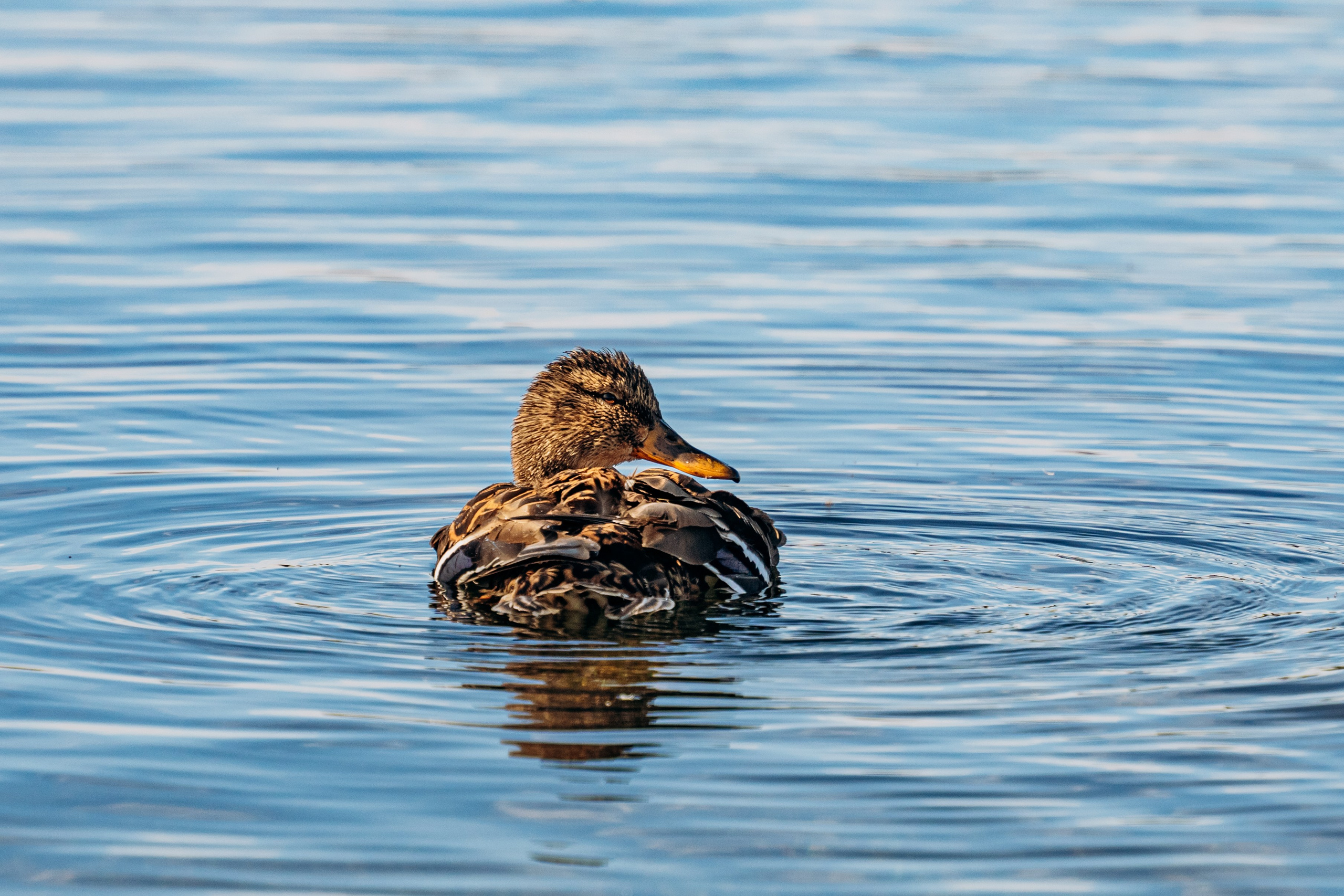 СЕВЕР. Event фотограф Степанова Александра